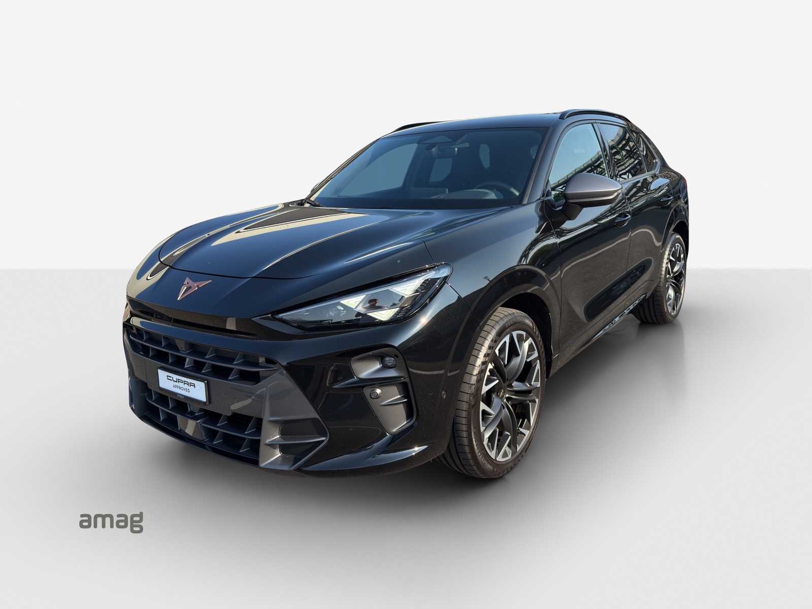 CUPRA Terramar 2.0 TSI DSG 4Drive VZ-image-0