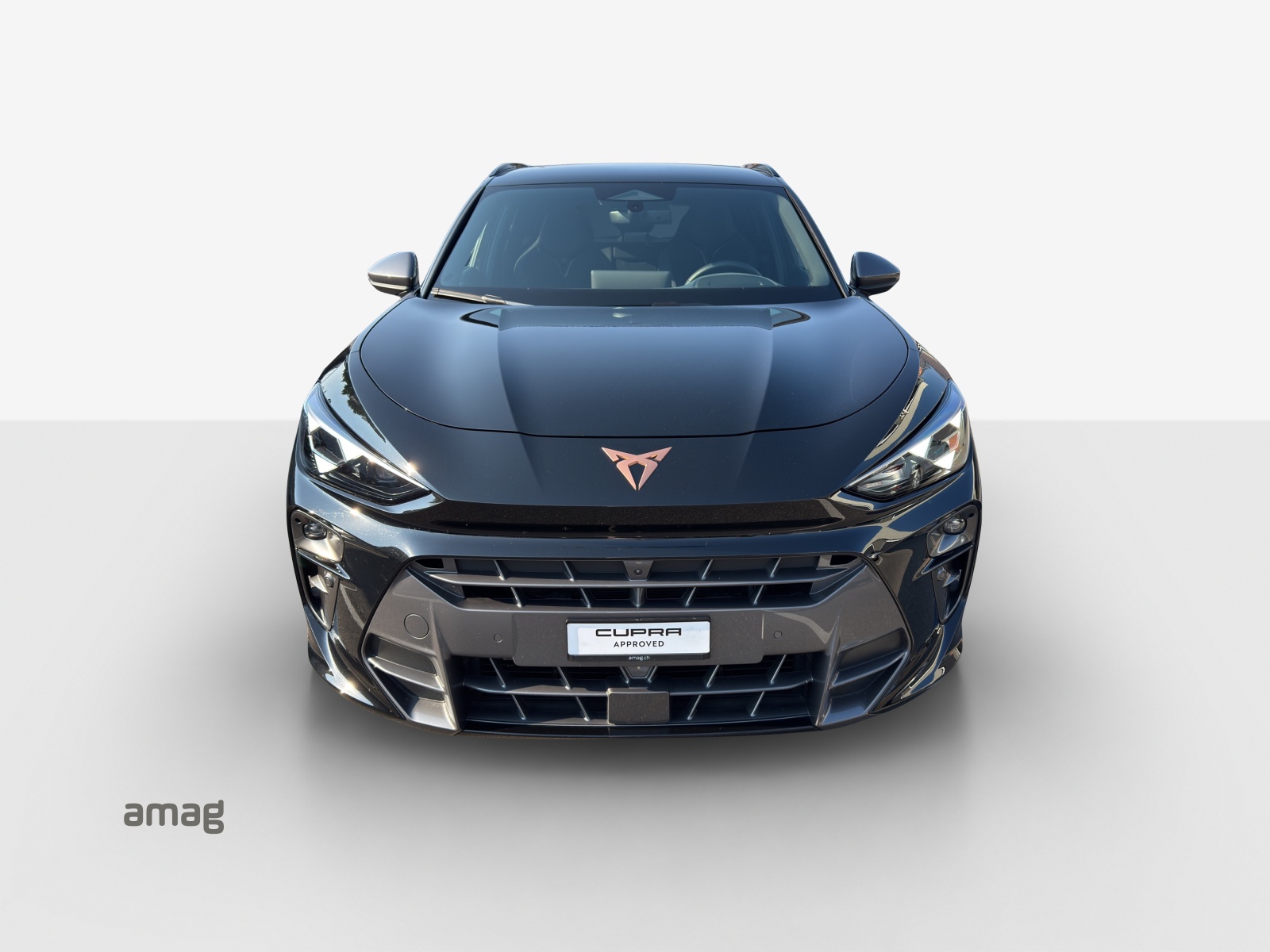 CUPRA Terramar 2.0 TSI DSG 4Drive VZ-image-6