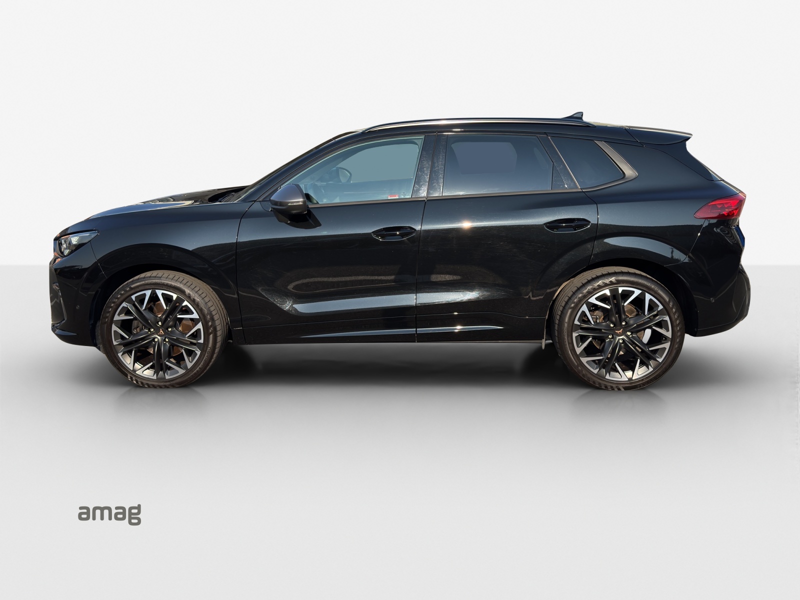 CUPRA Terramar 2.0 TSI DSG 4Drive VZ-image-1