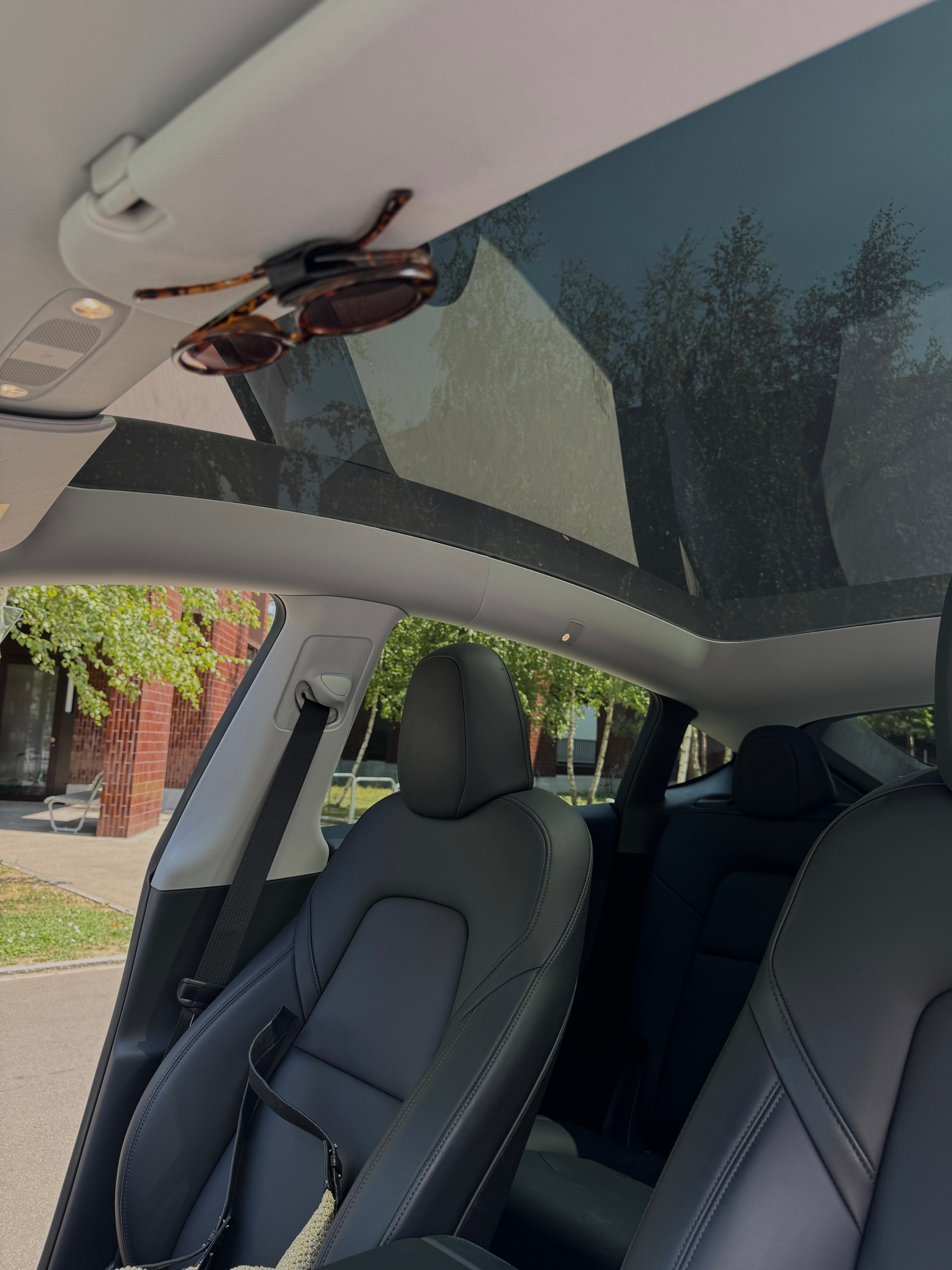 TESLA Basis-image-14