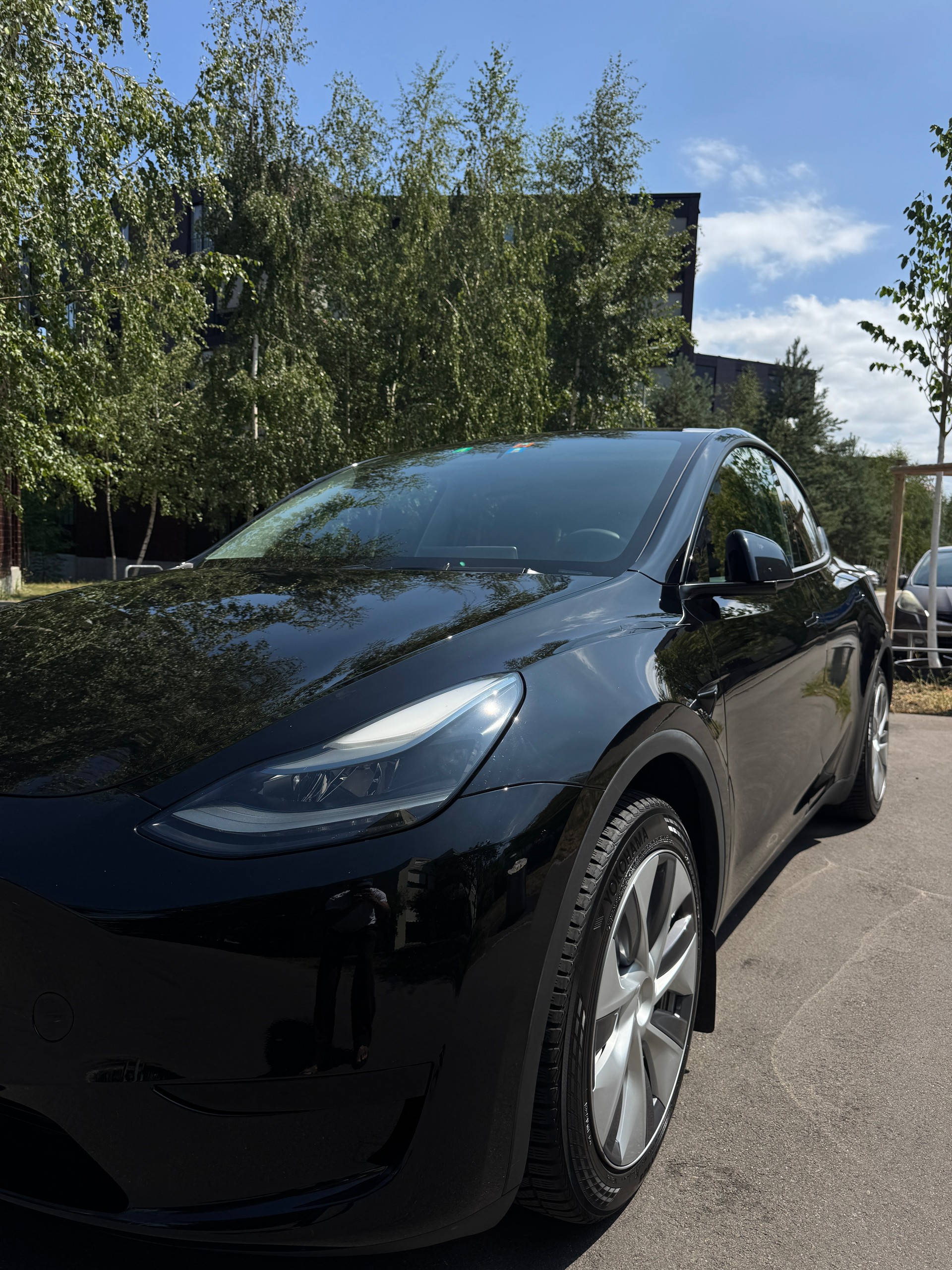 TESLA Basis-image-1