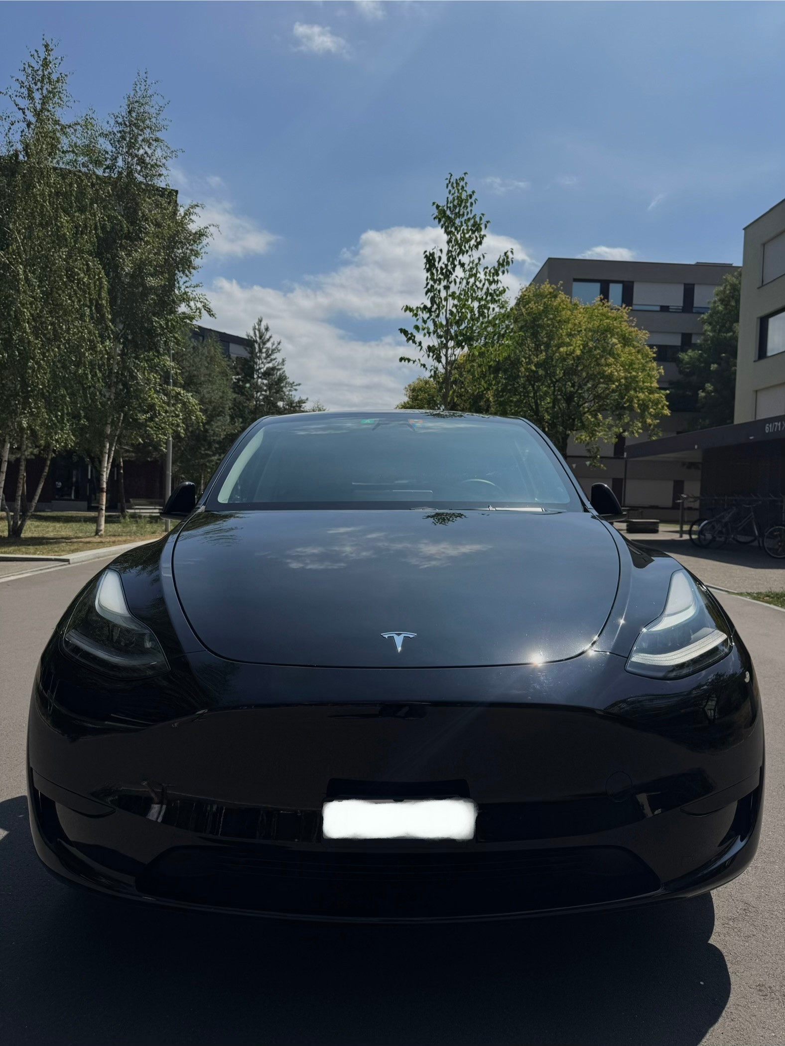 TESLA Basis-image-0