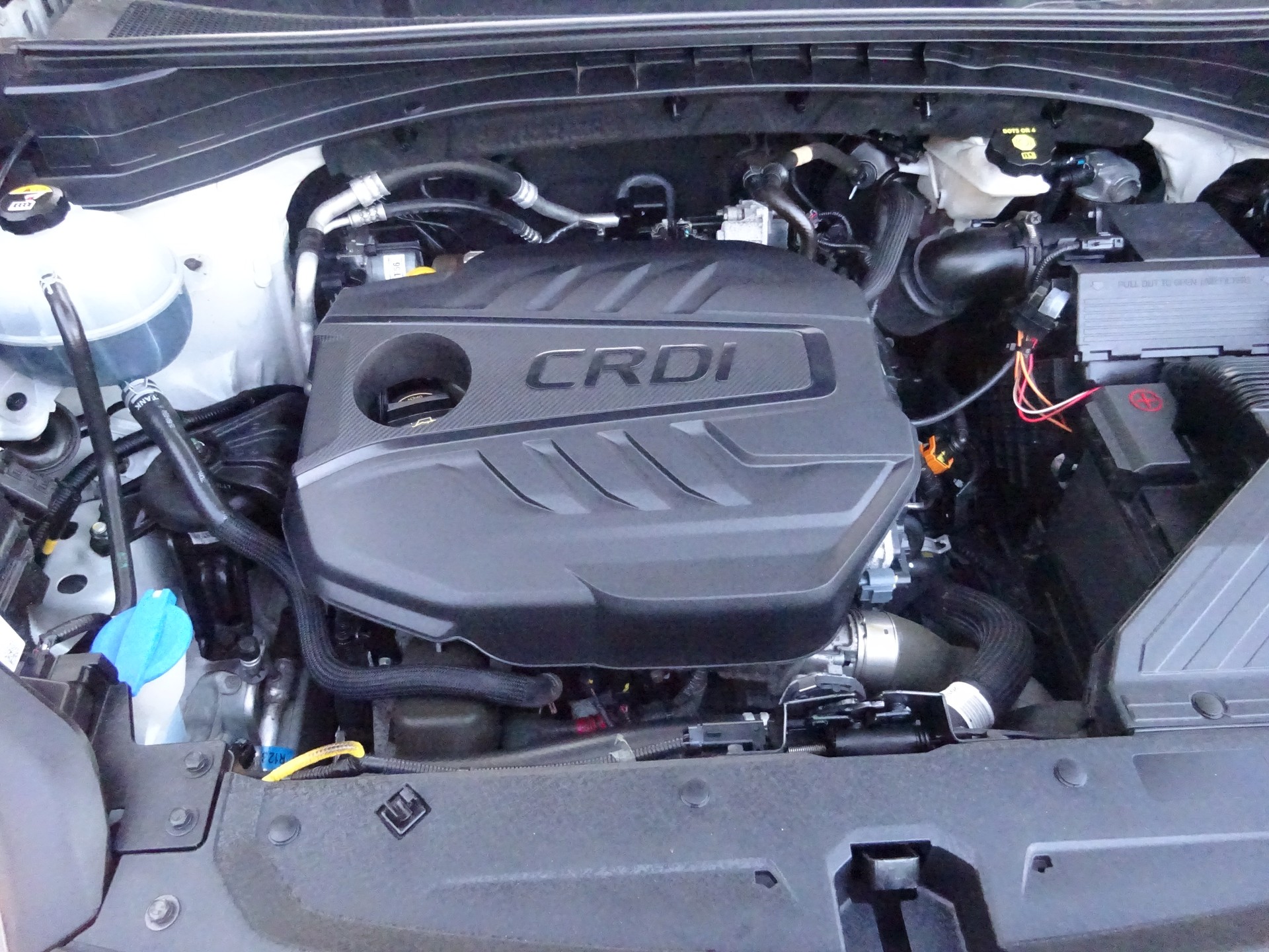 KIA Sportage 1.6CRDi Mild Hybrid Power 2020 4WD Automat - MFK 11.2025 - AHK 1600KG-image-15