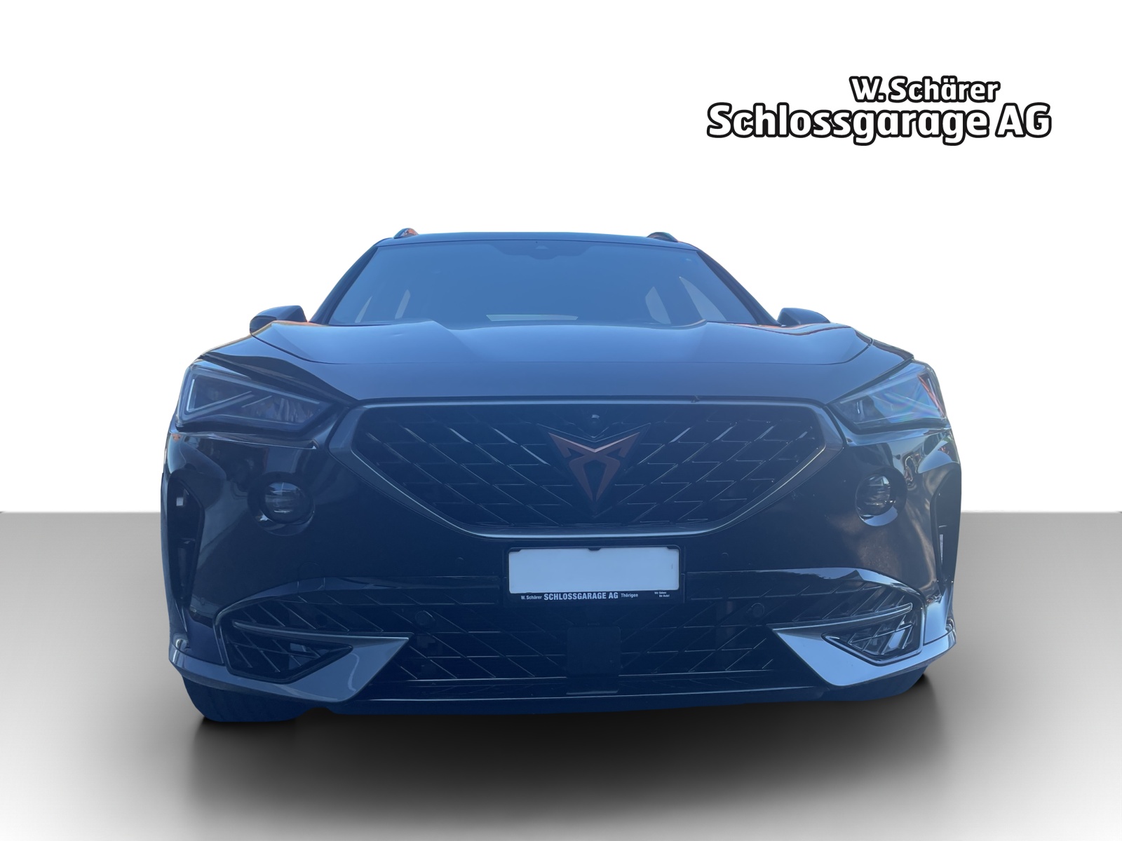 CUPRA Formentor 2.0TSI VZ 4Drive DSG-image-6