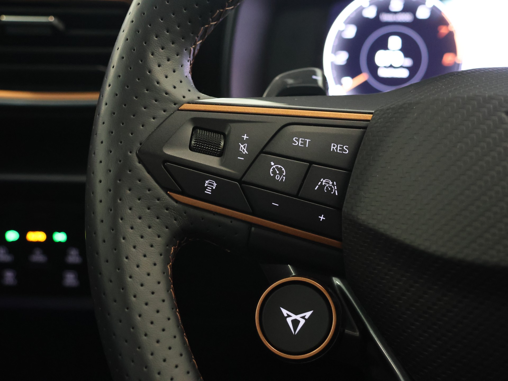 CUPRA Formentor 2.0TSI VZ 4Drive DSG *Rückfahrkamera* *Panoramadach* *Sitzheizung*-image-17