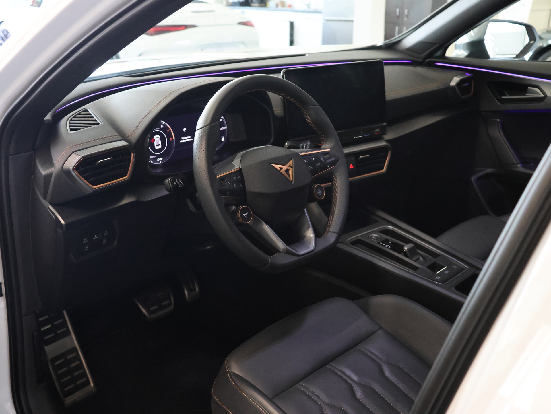 CUPRA Formentor 2.0TSI VZ 4Drive DSG *Rückfahrkamera* *Panoramadach* *Sitzheizung*-image-13