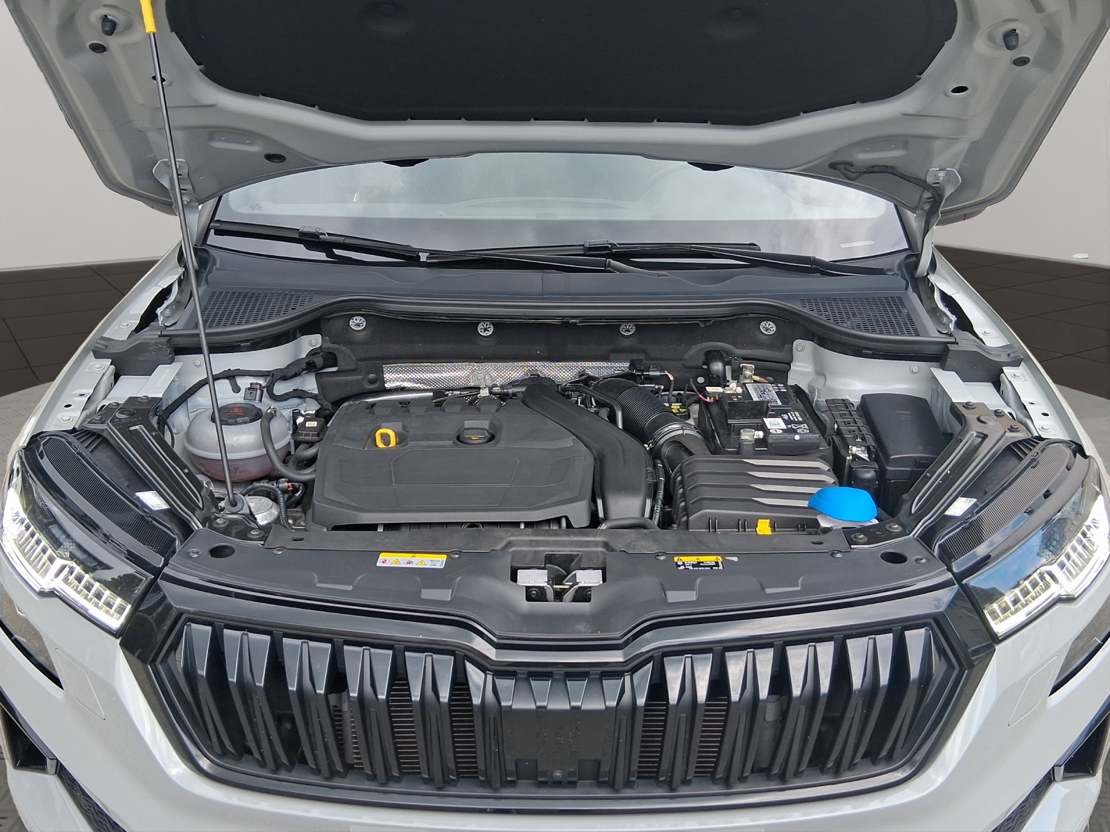 SKODA Karoq 1.5 TSI ACT SportLine DSG-image-19