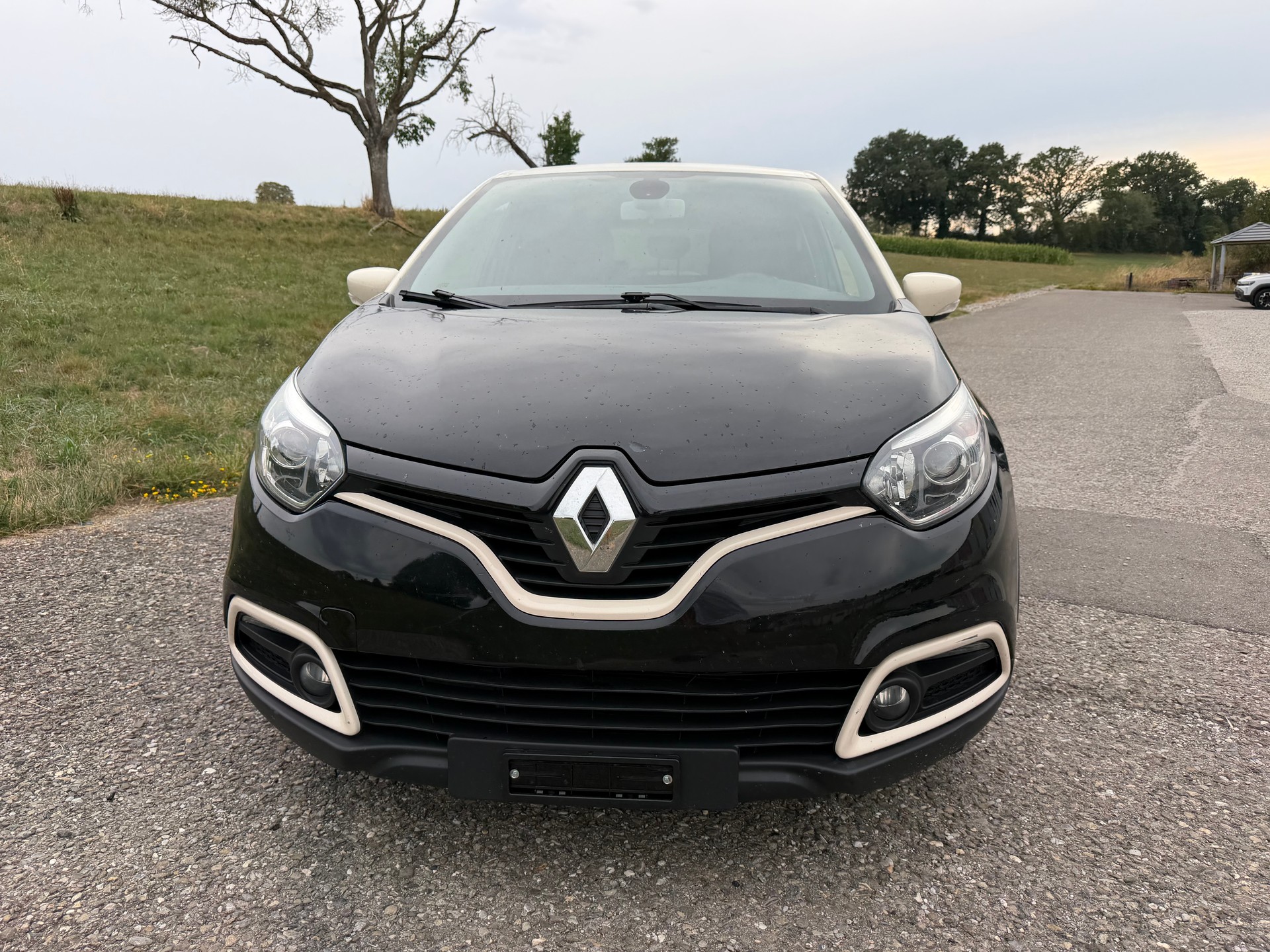 RENAULT Captur 0.9 12V Privilège-image-1