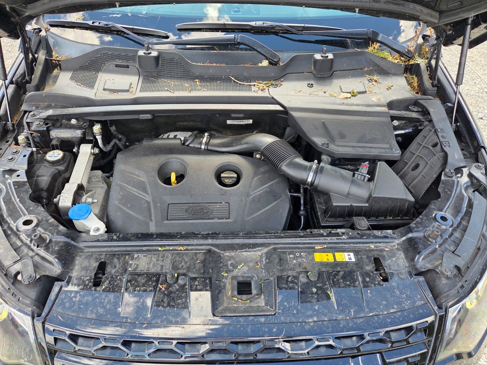 LAND ROVER Discovery Sport 2.0 Si4 HSE Luxury AT9 7 Sitze-image-12