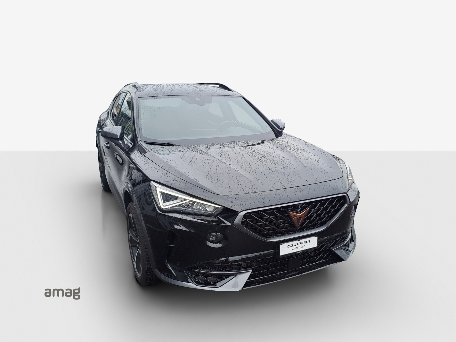 CUPRA Formentor 2.0TSI 4Drive DSG-image-15