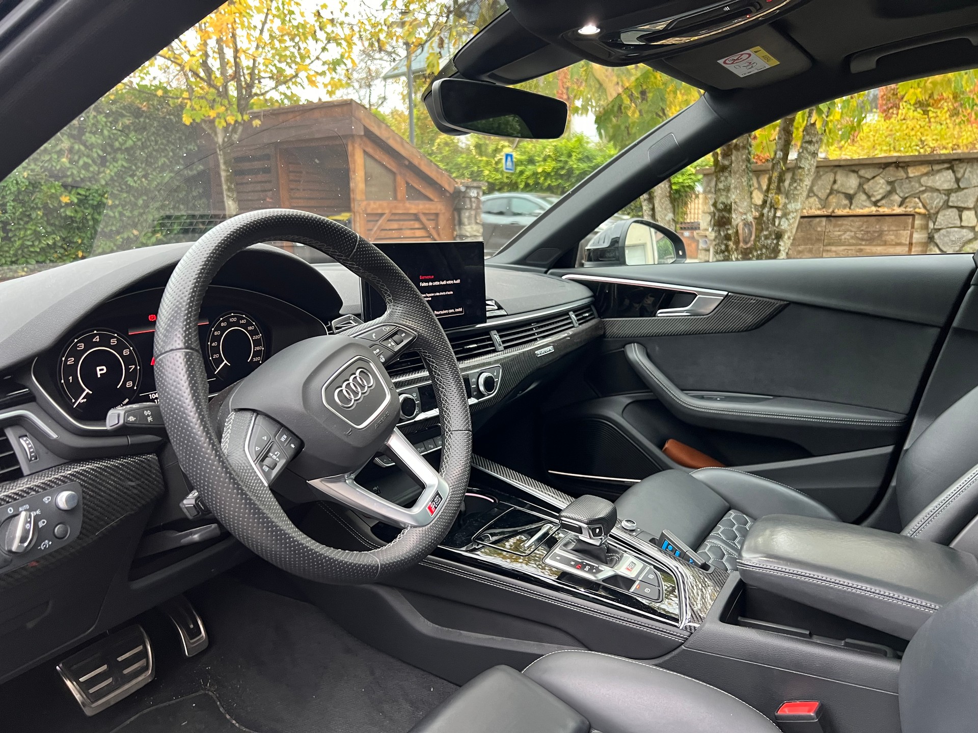 AUDI RS4 Avant 2.9 TFSI quattro tiptronic-image-8