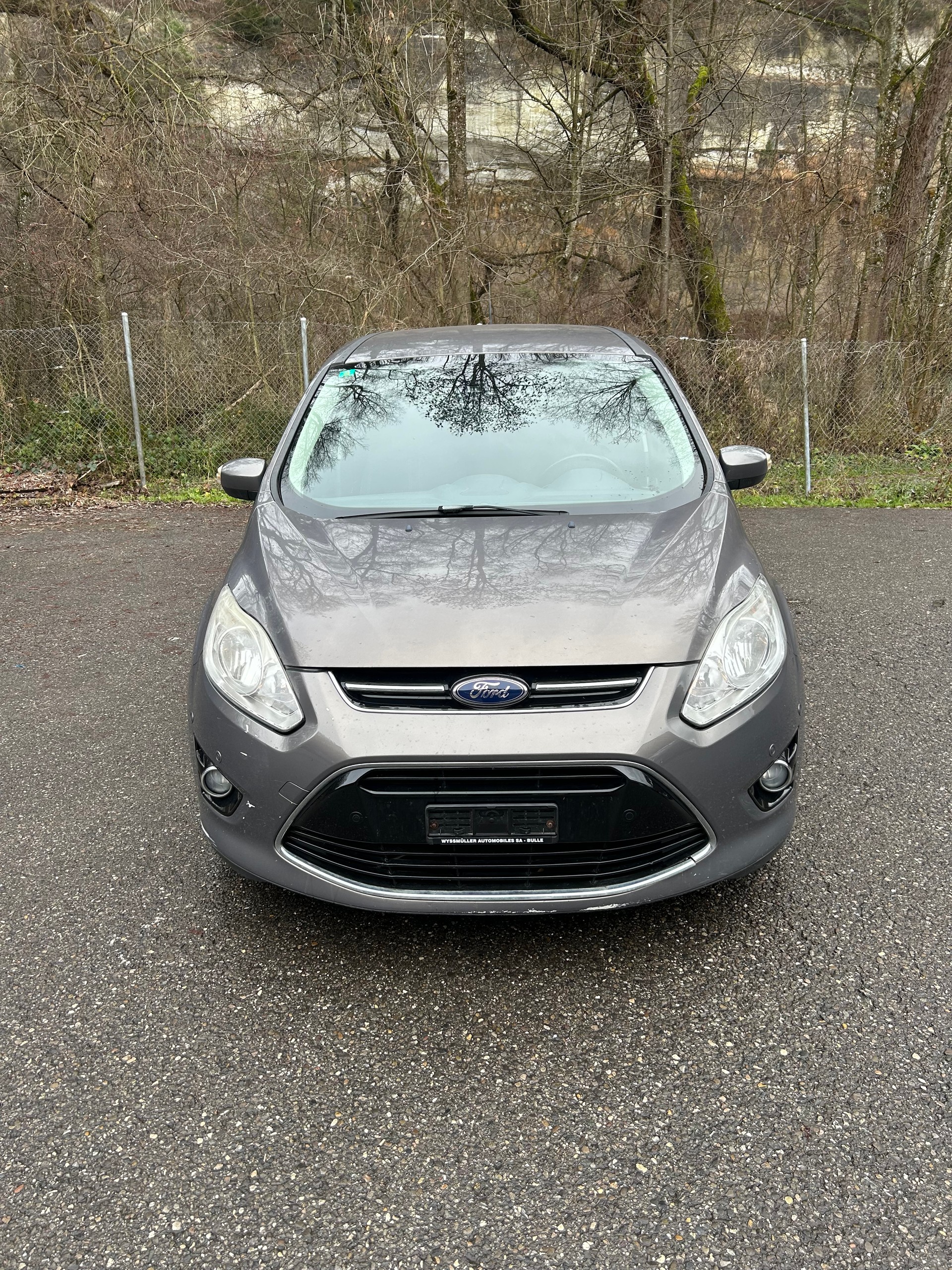 FORD Grand C-Max 1.0 SCTi Carving-image-1