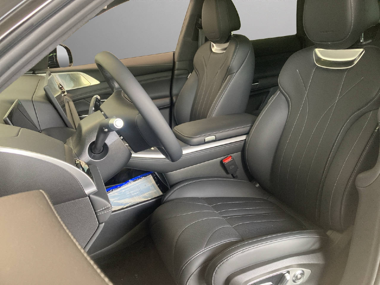 XPENG G9 Performance AWD-image-3