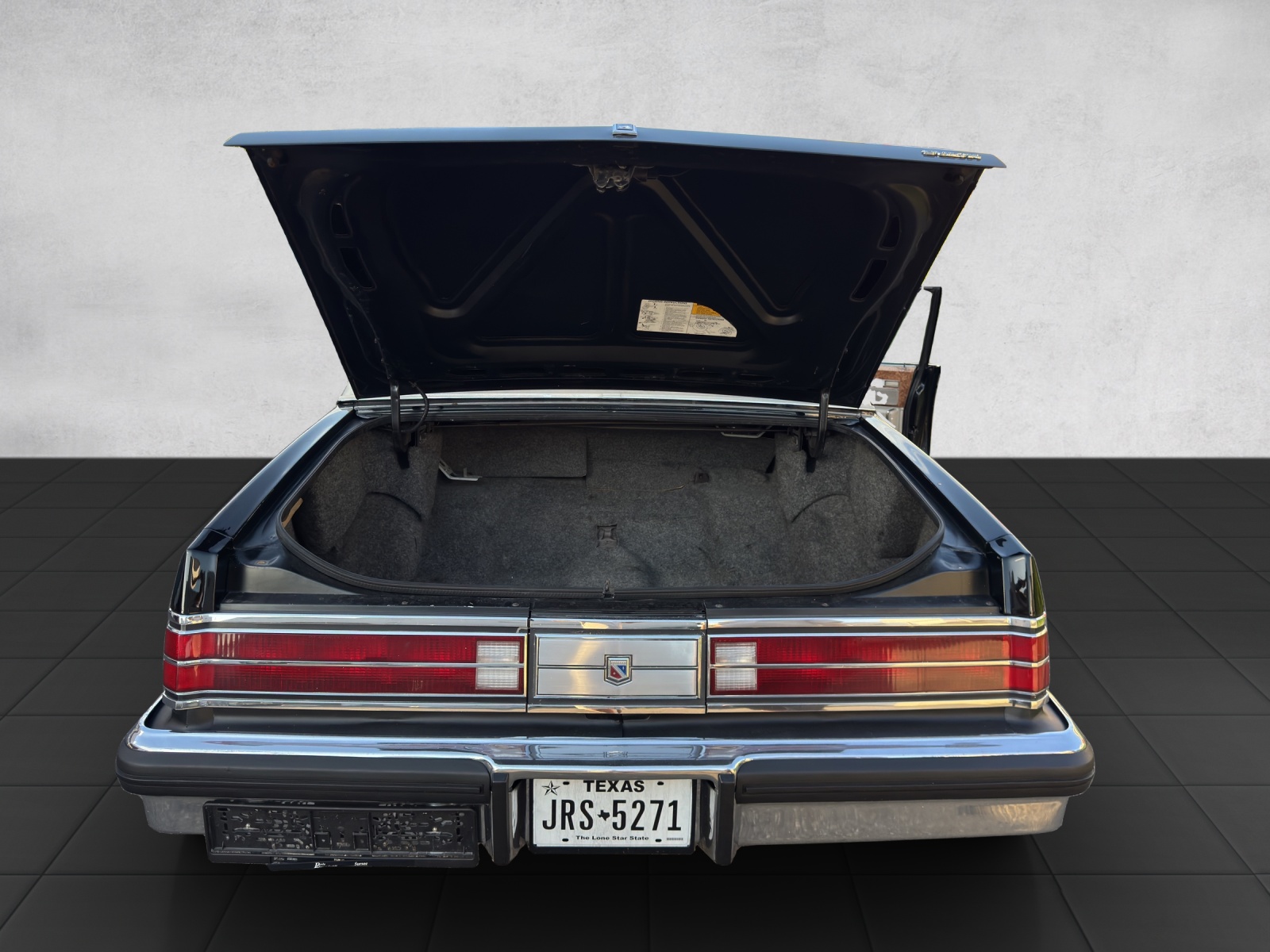 BUICK Electra 5.0 Park Avenue-image-20