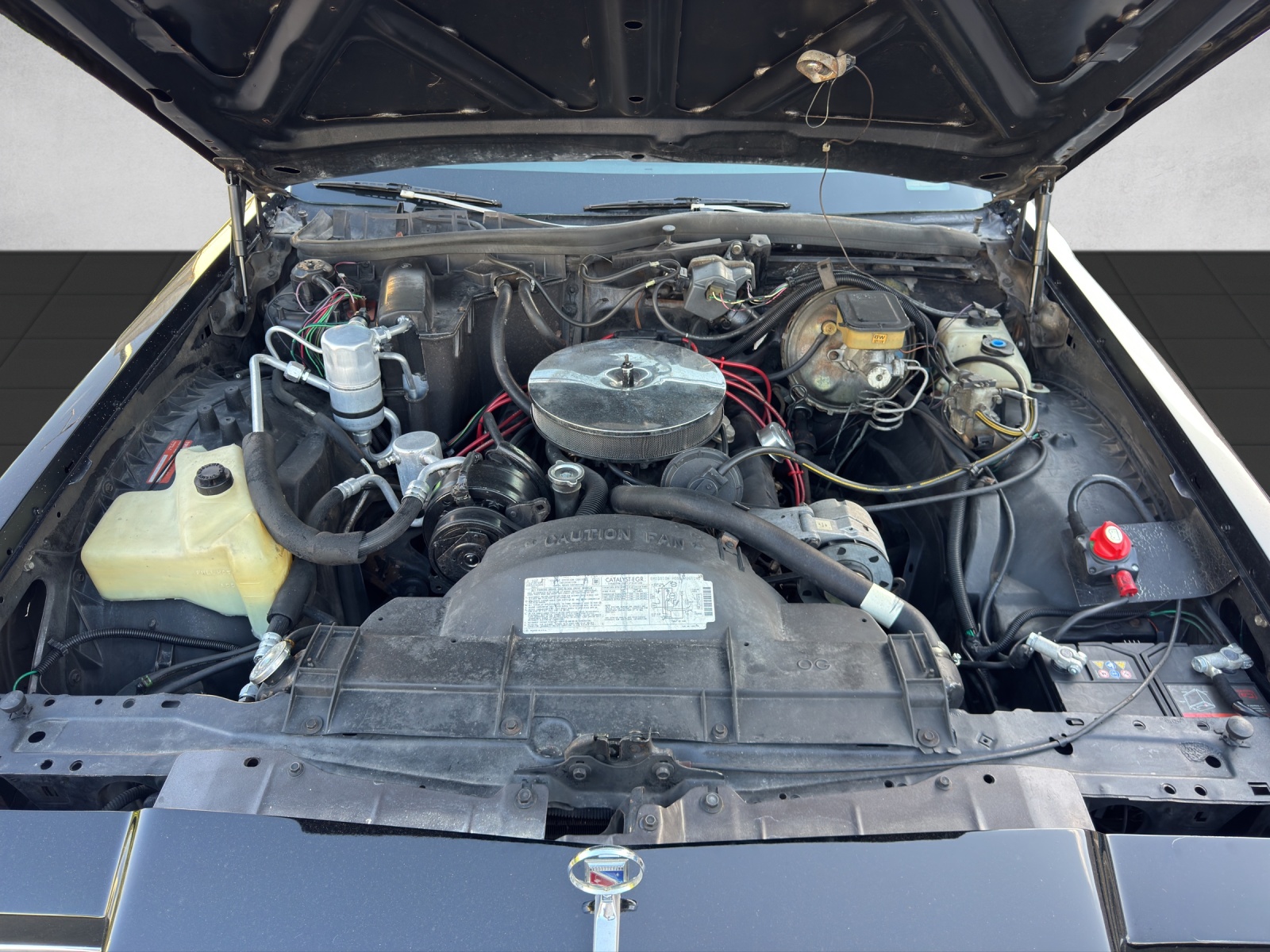 BUICK Electra 5.0 Park Avenue-image-12