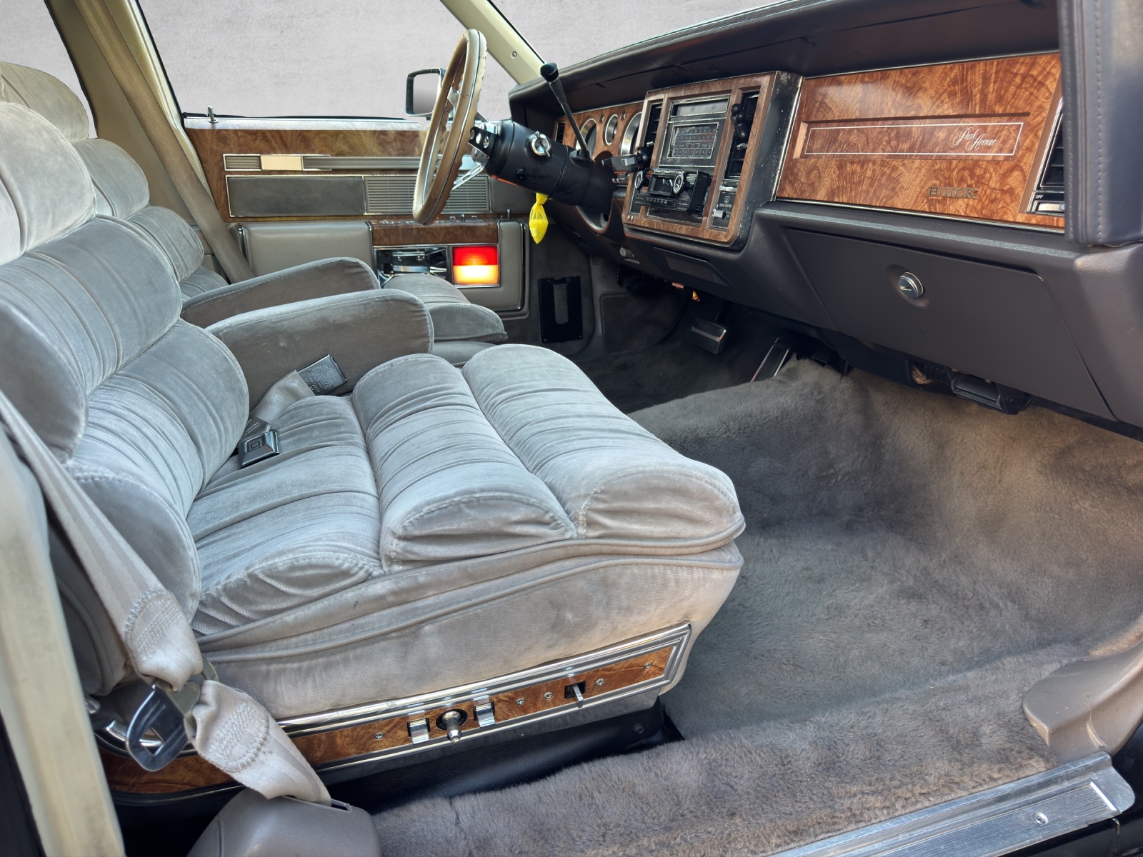 BUICK Electra 5.0 Park Avenue-image-10