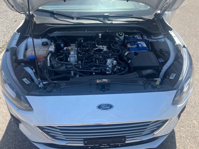 FORD Focus 1.0 SCTi Cool Connect Automatic-image-1