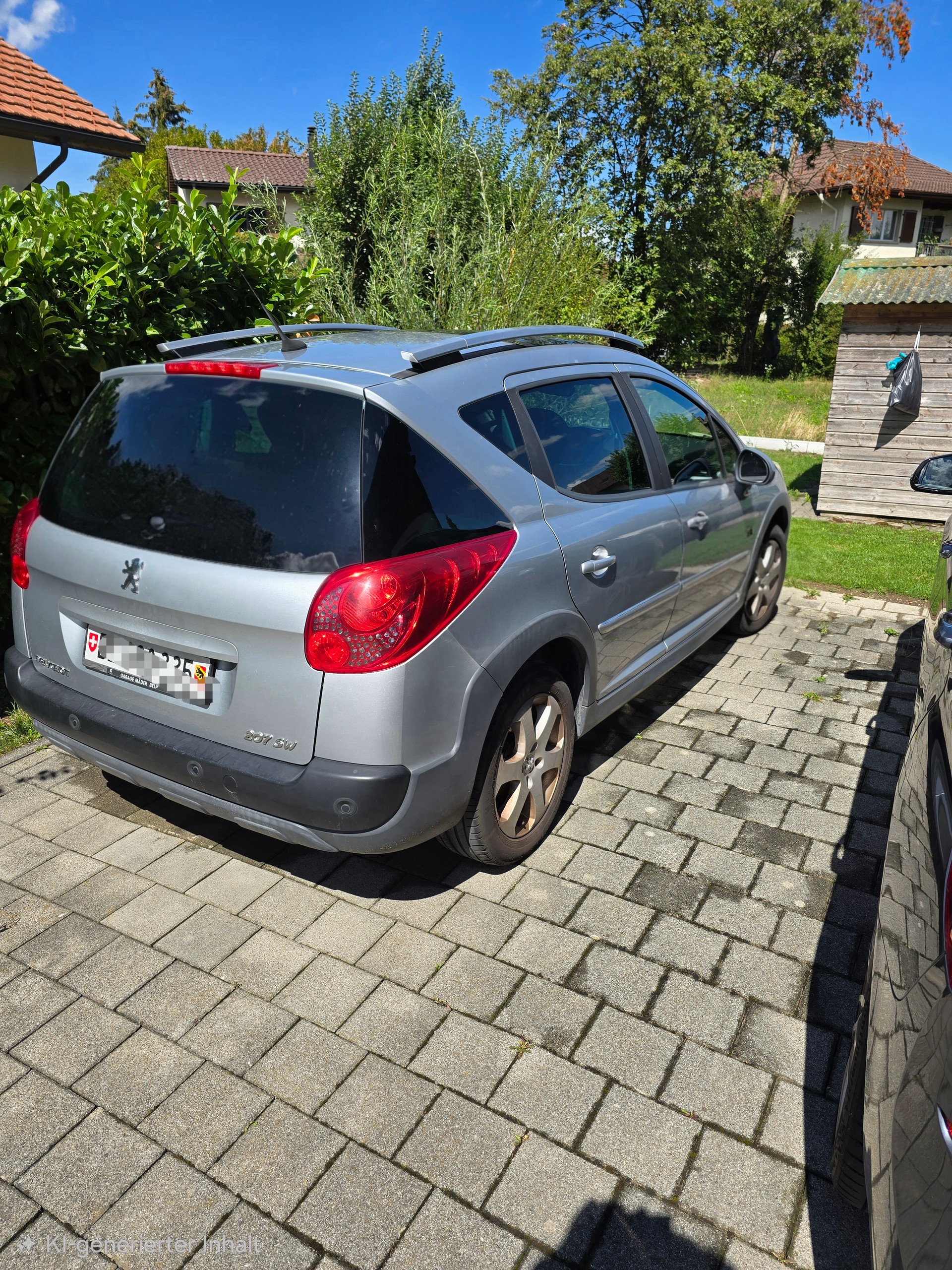 PEUGEOT 207-image-1