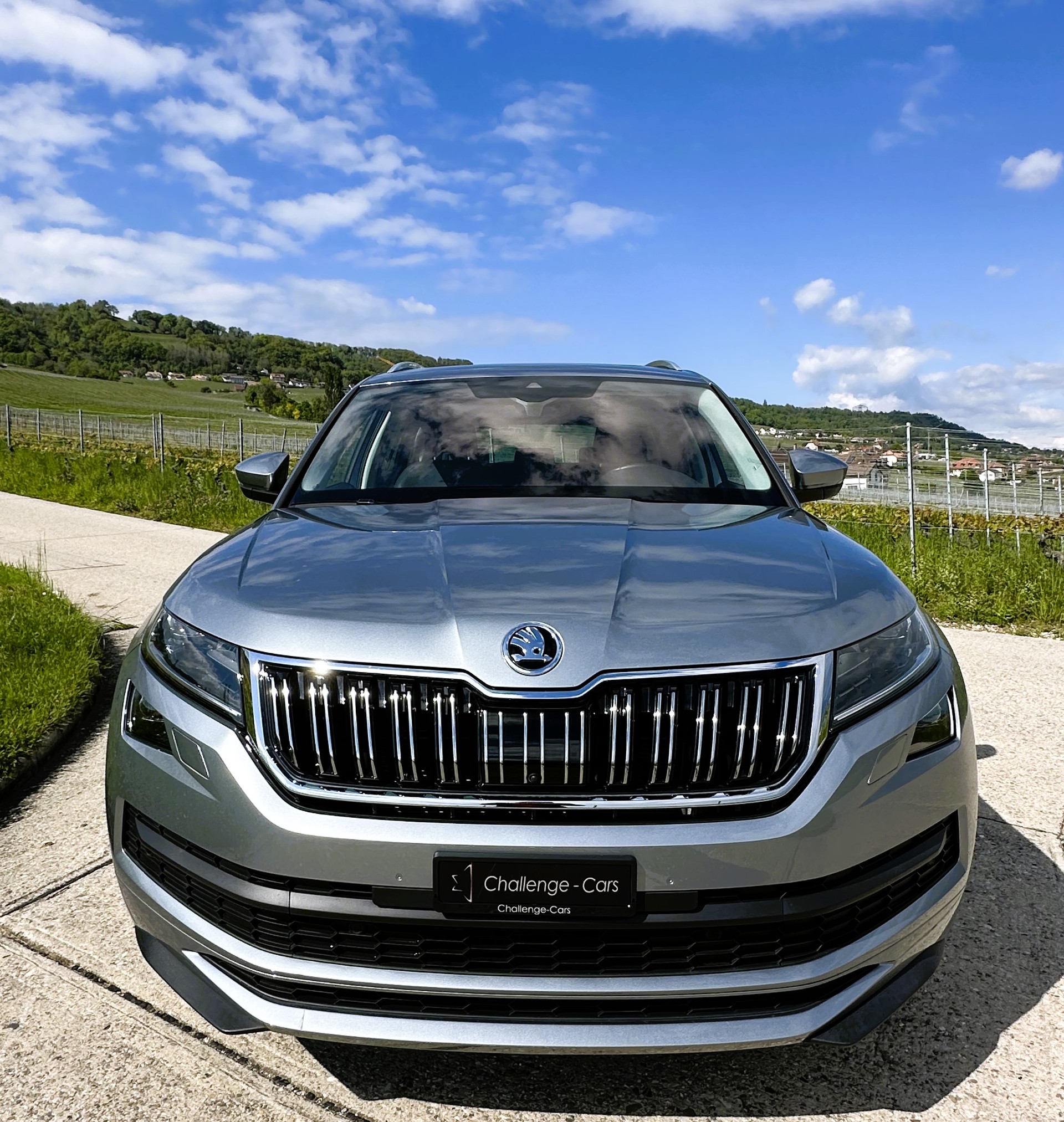 SKODA Kodiaq 2.0 TSI 4x4 L&K-image-2