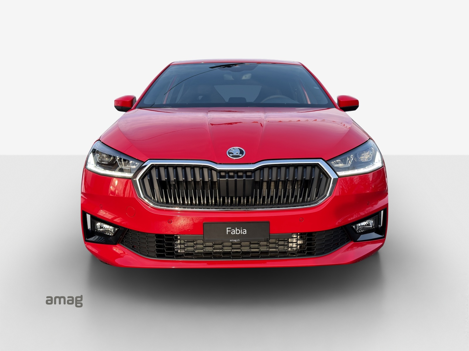 SKODA Fabia 1.5 TSI Dynamic DSG-image-6