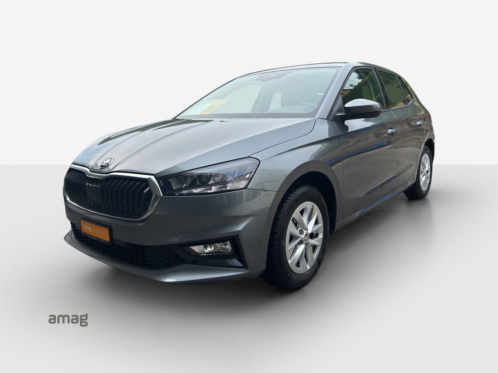 SKODA Fabia 1.0 TSI Selection