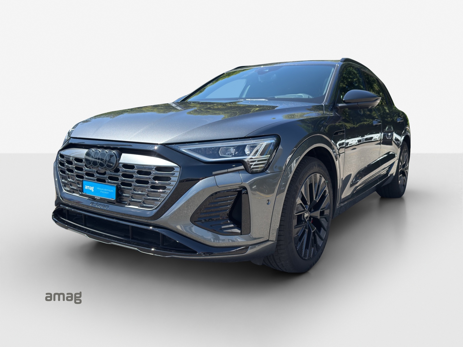 AUDI Q8 50 e-tron Black Edition quattro-image-0