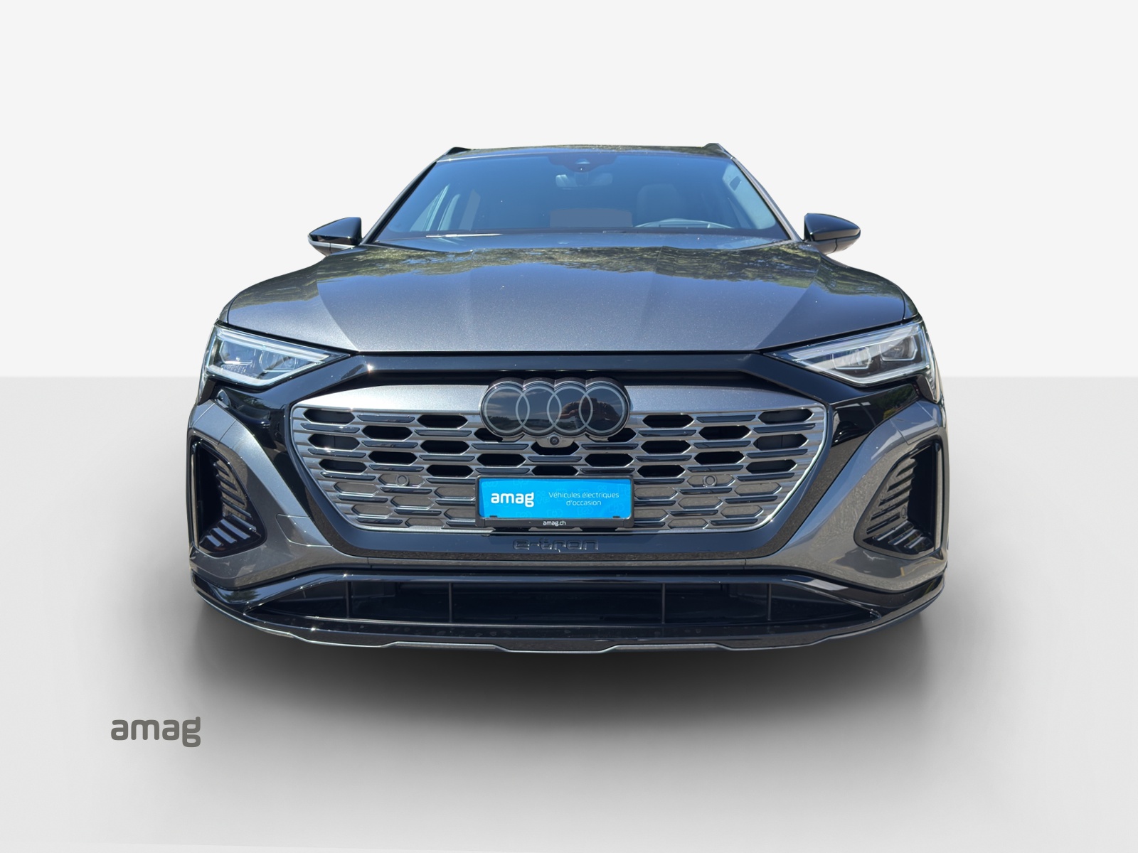 AUDI Q8 50 e-tron Black Edition quattro-image-6