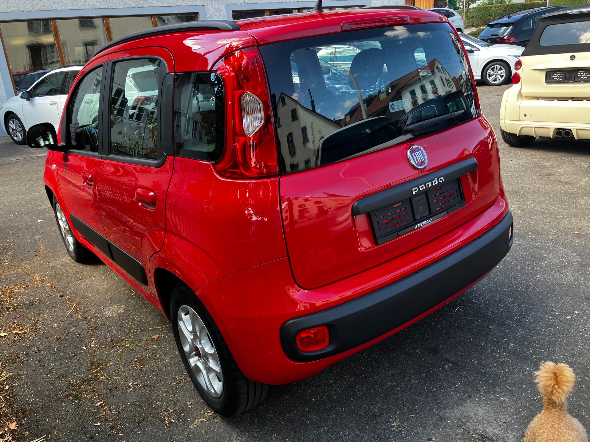 FIAT Panda 1.2 Cool-image-4