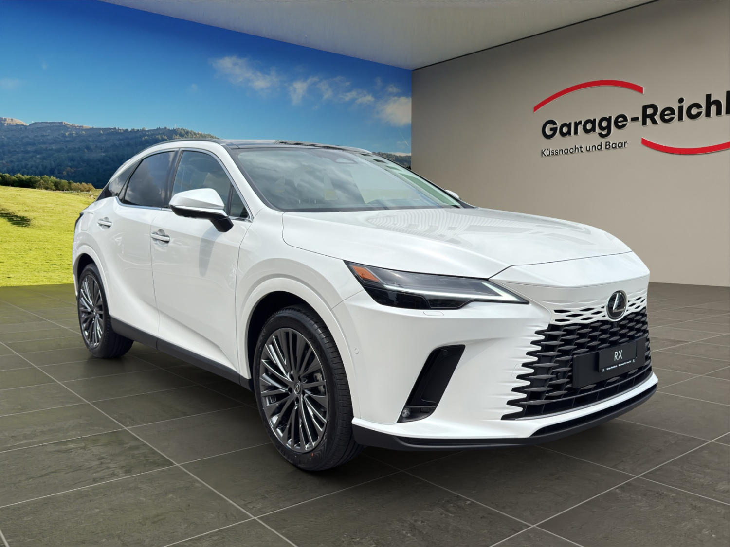 LEXUS RX 450h+ Excellence-image-6