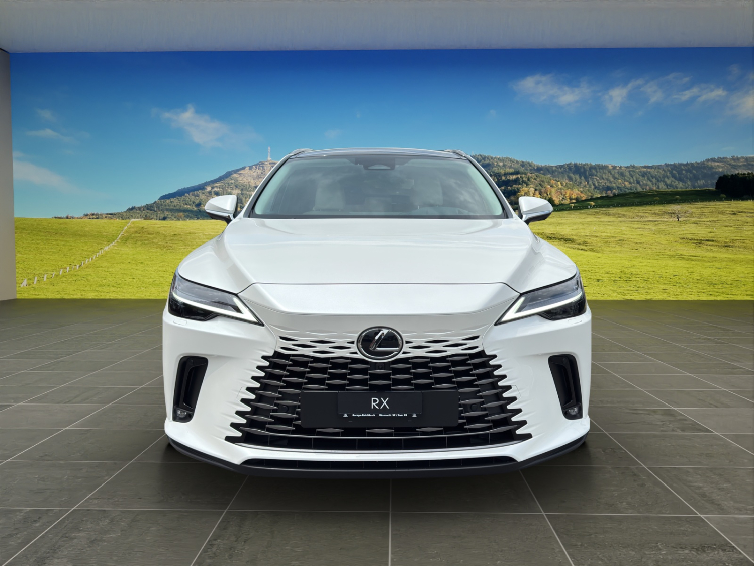 LEXUS RX 450h+ Excellence-image-7
