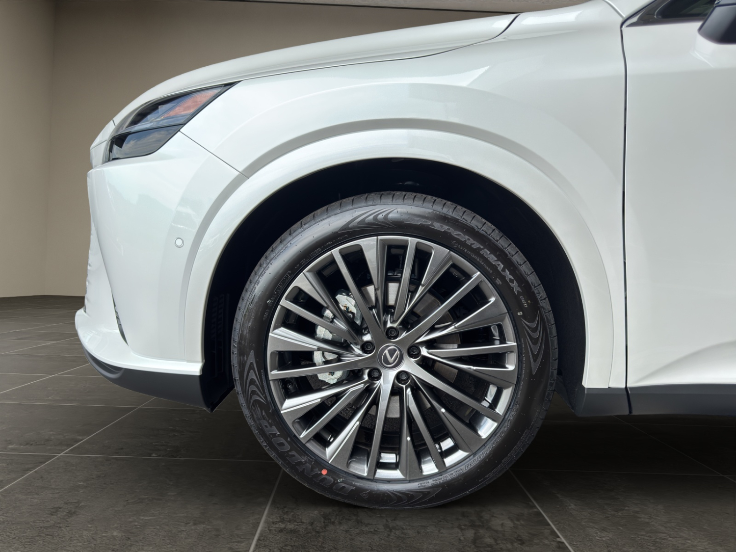 LEXUS RX 450h+ Excellence-image-12