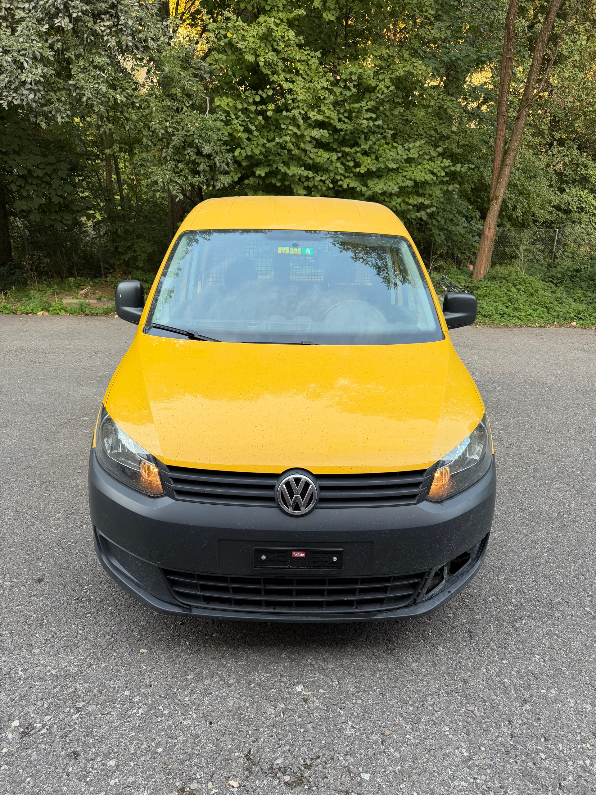 VW Kasten-image-0