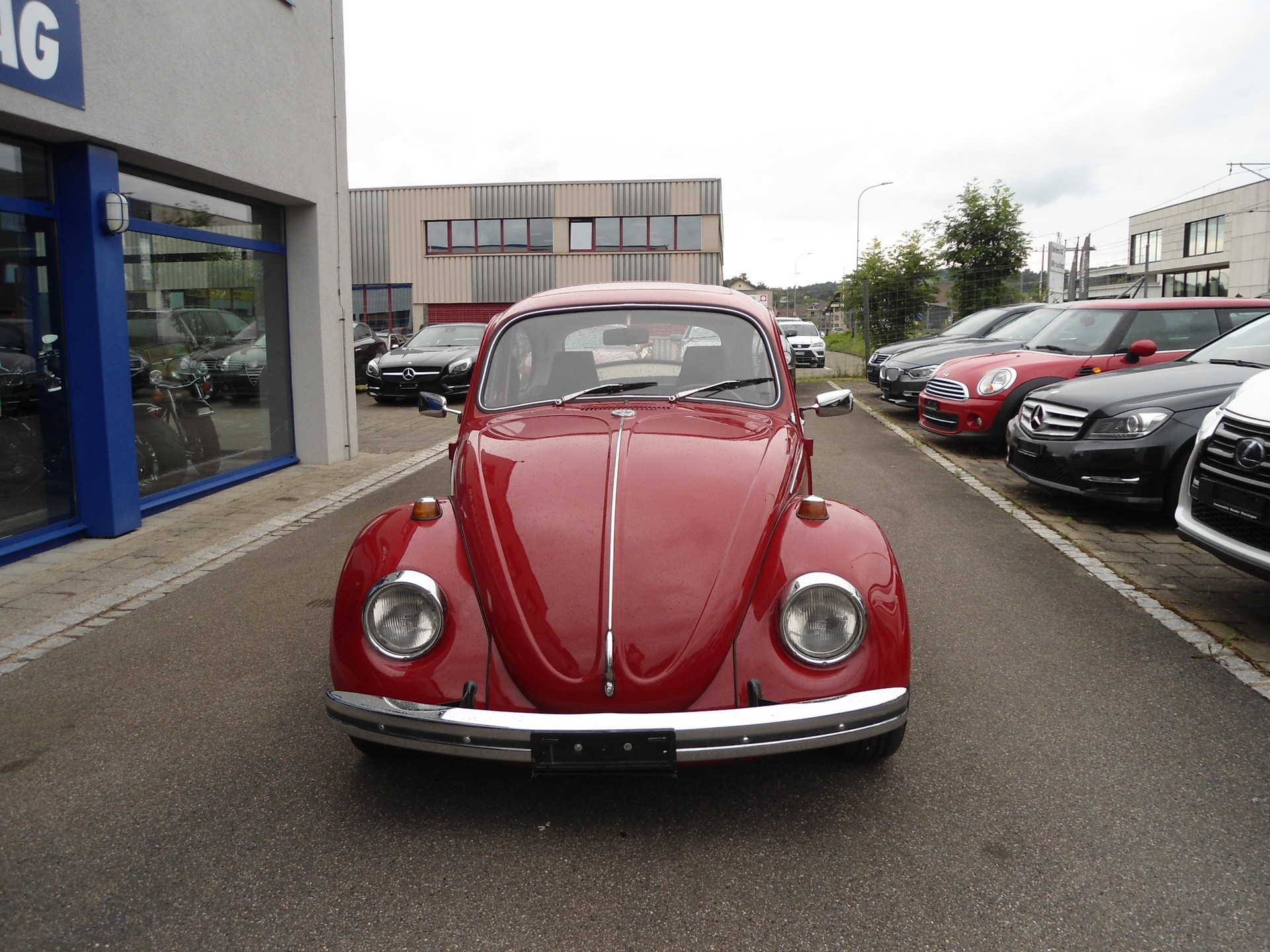 VW Käfer-image-0