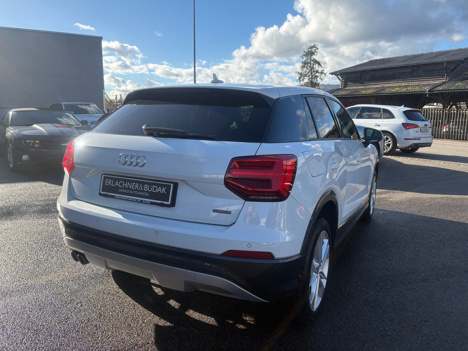 AUDI Q2 2.0 TDI sport quattro S-tronic-image-3