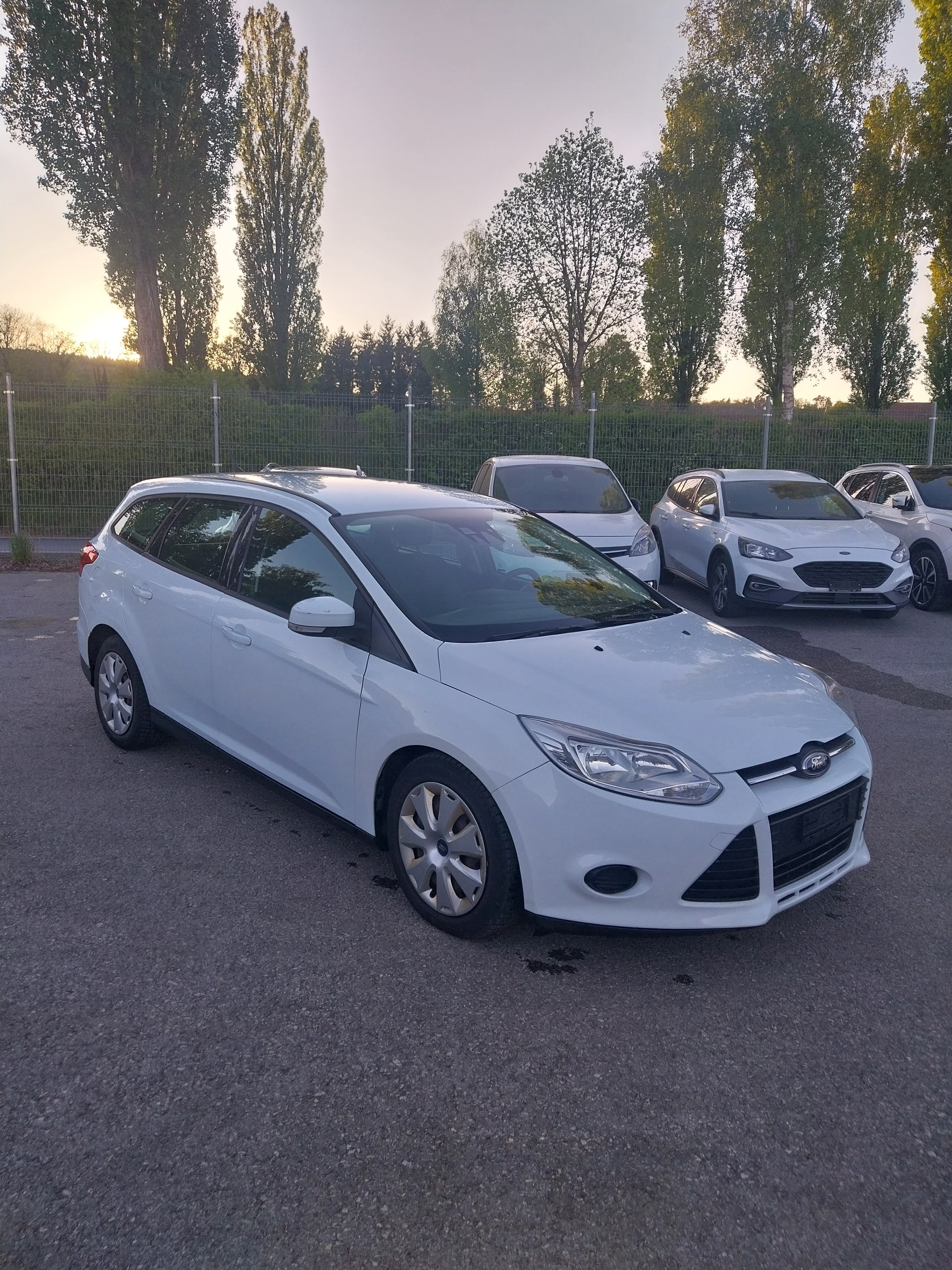 FORD Focus 1.6 TDCi Trend-image-1