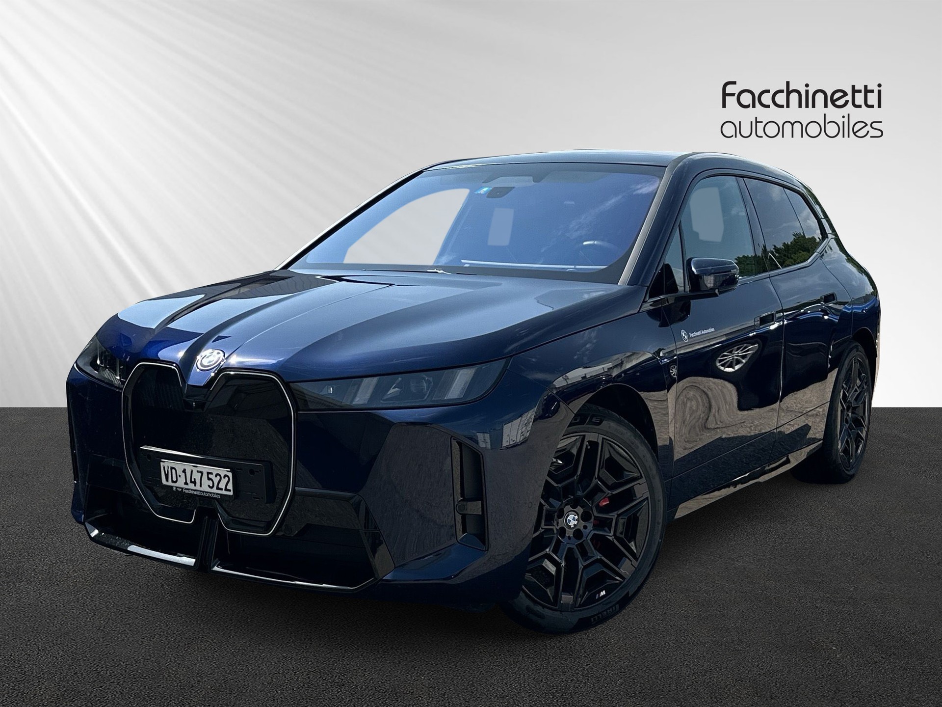 BMW iX xDrive60 M Sport Pro-image-0