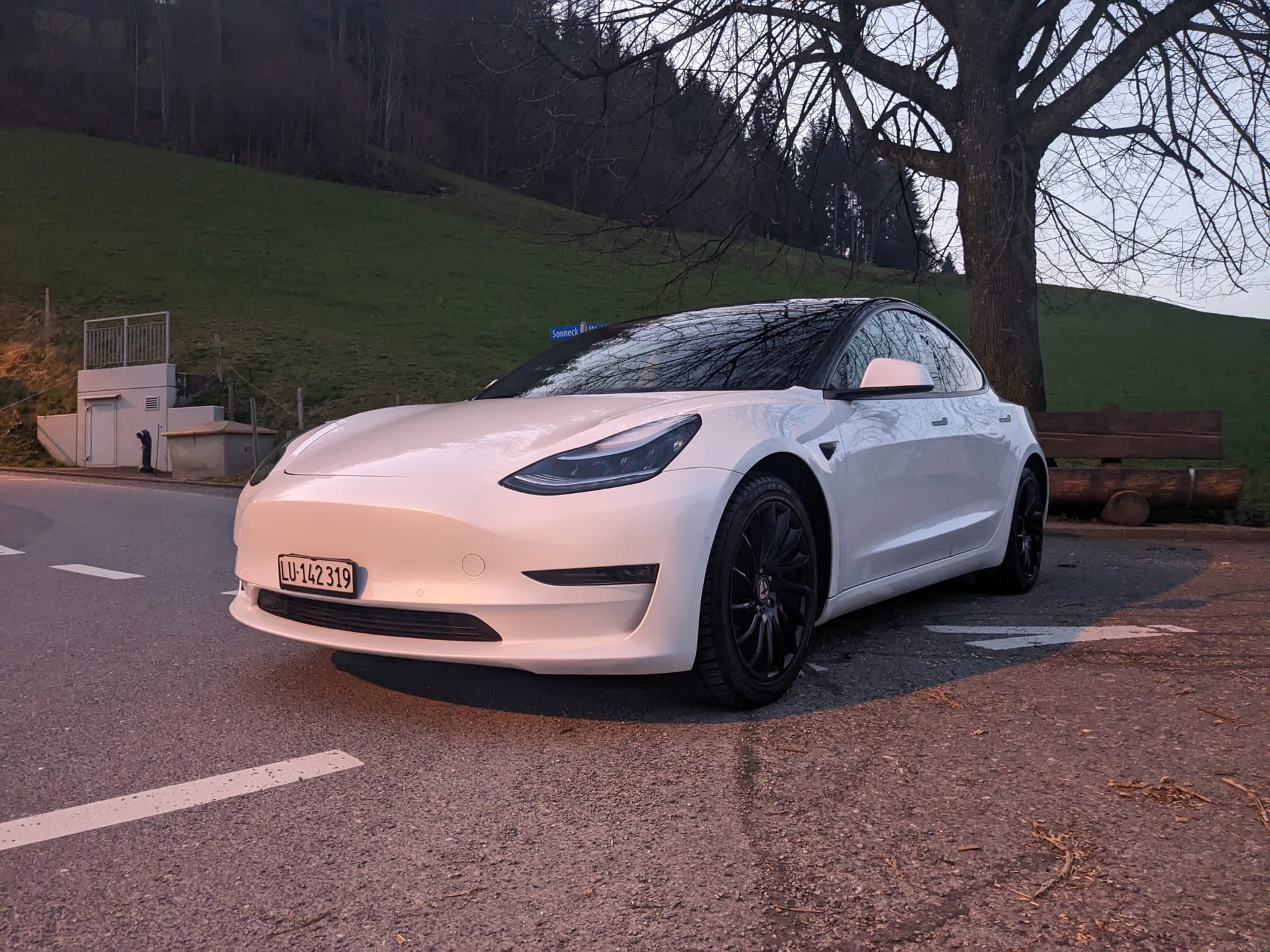 TESLA Model 3 Long Range Dual Motor AWD-image-1