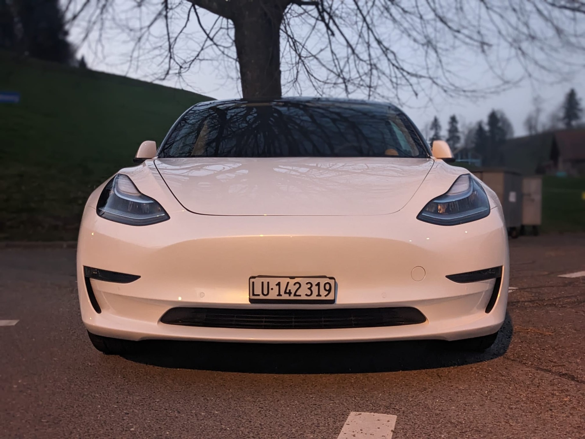 TESLA Model 3 Long Range Dual Motor AWD-image-0