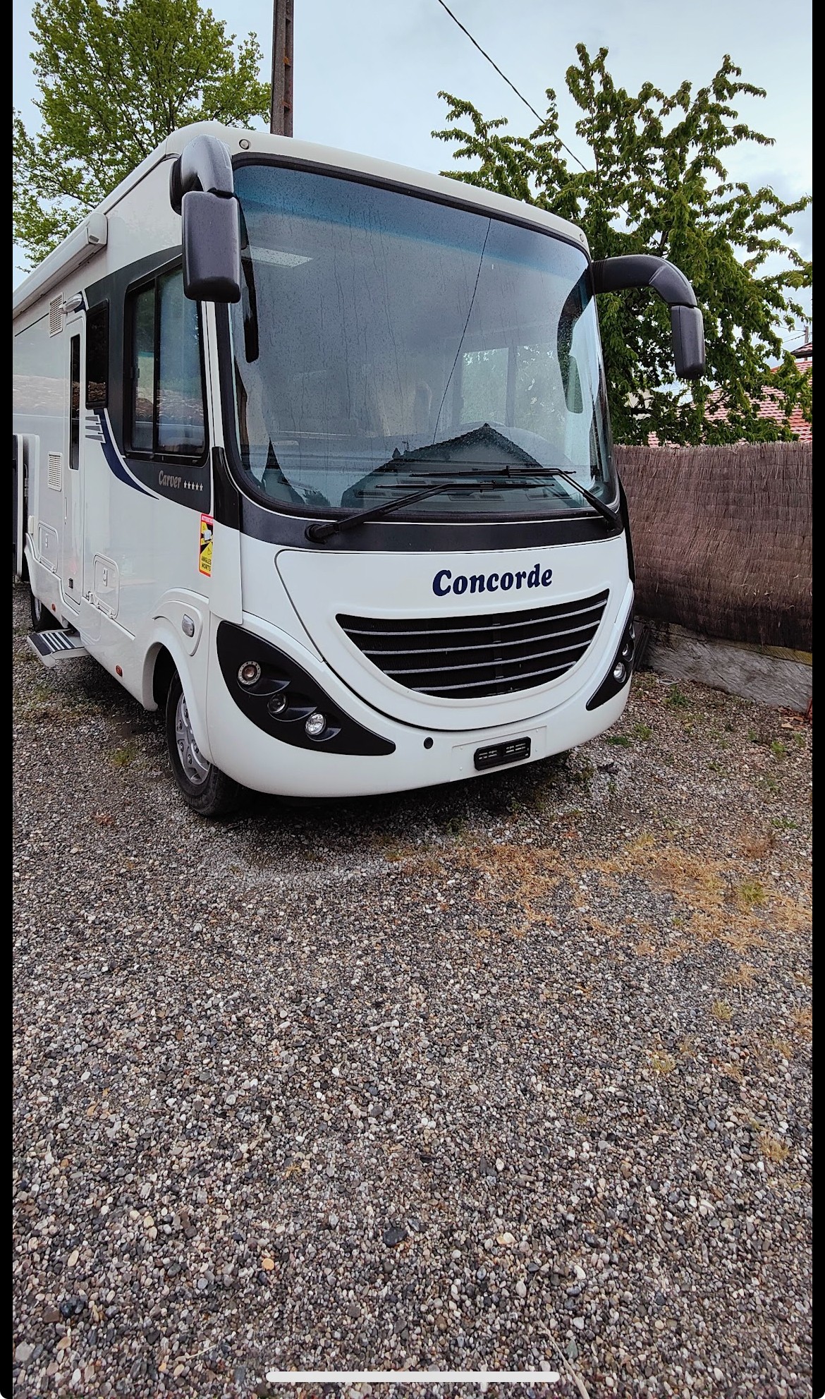 CONCORDE Concorde daily carver 771
