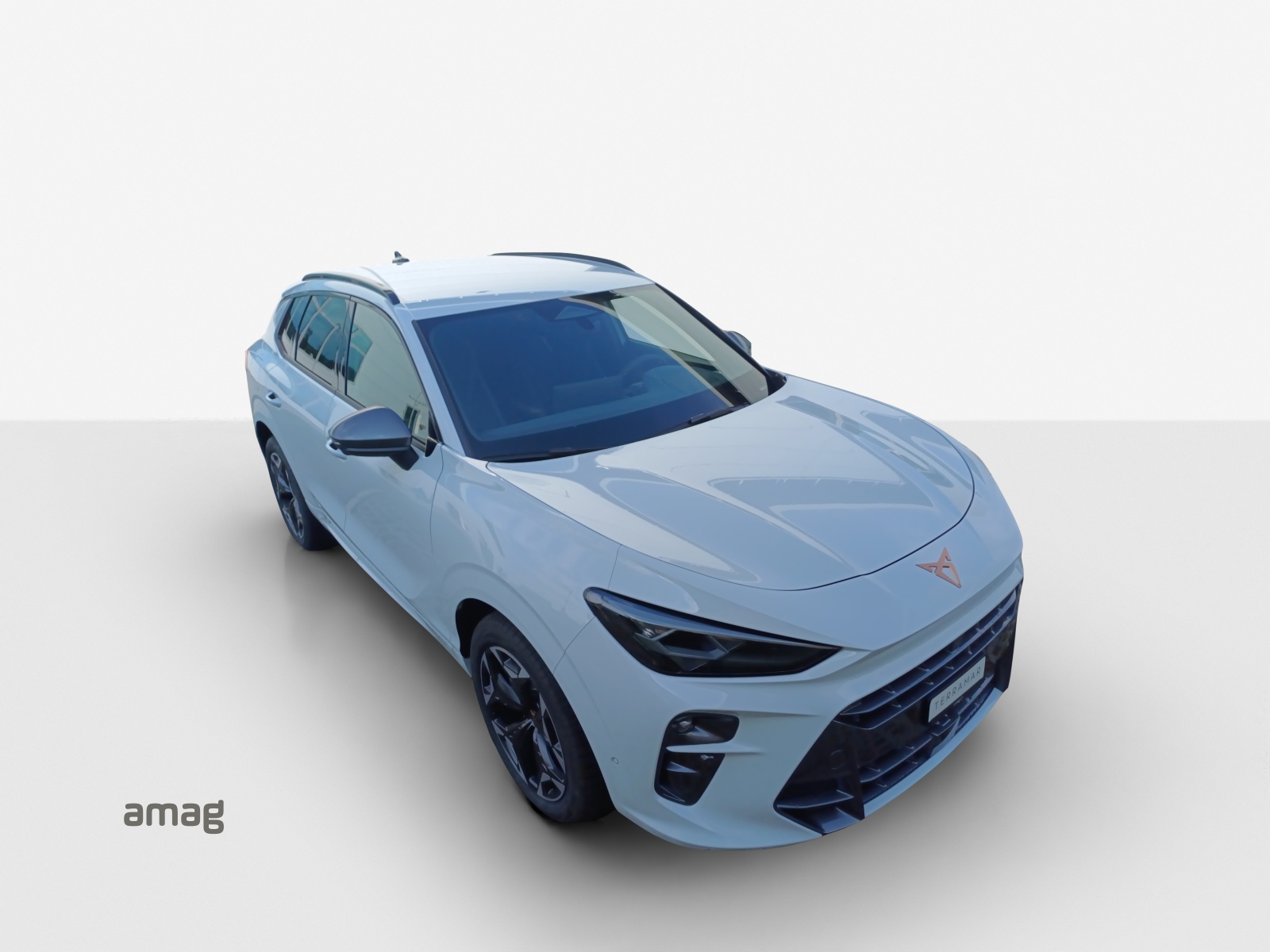 CUPRA Terramar 2.0 TSI DSG 4Drive Business Edition-image-14