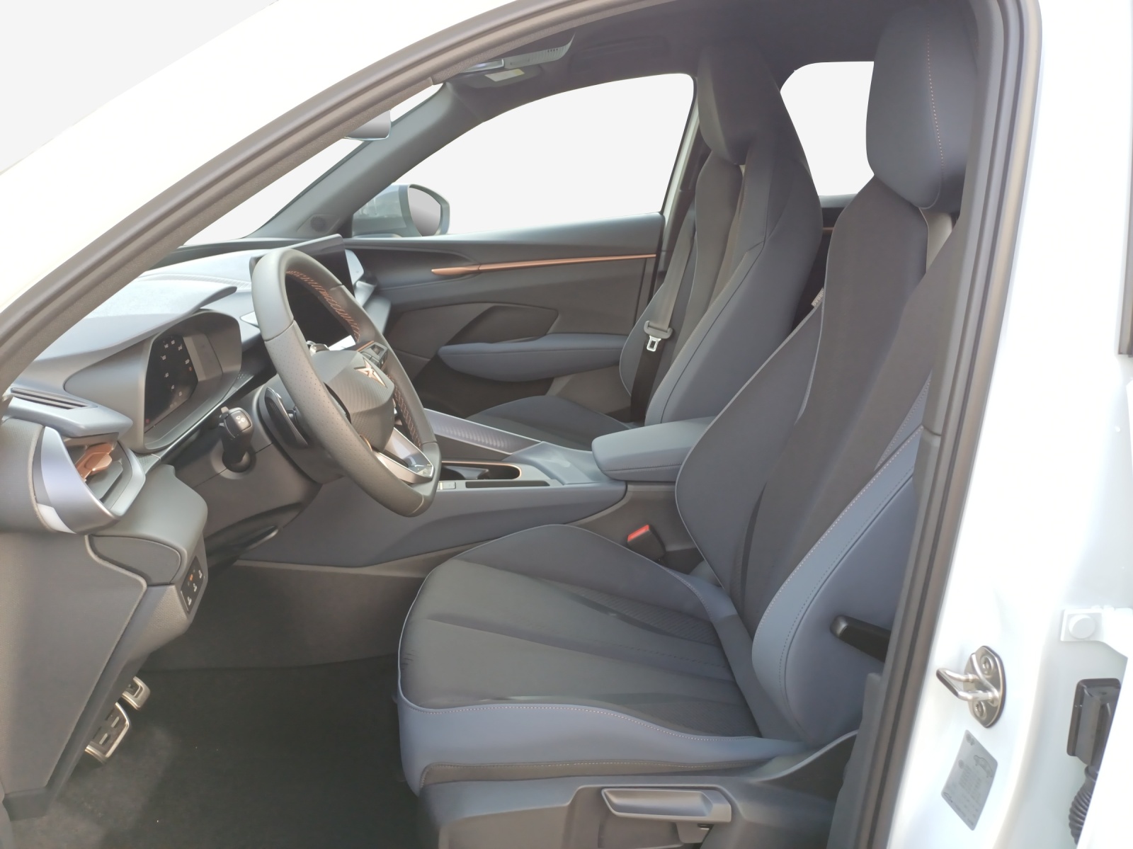 CUPRA Terramar 2.0 TSI DSG 4Drive Business Edition-image-7