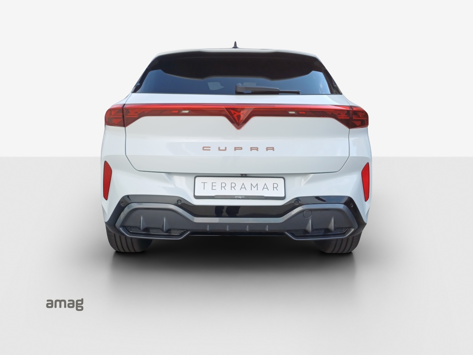 CUPRA Terramar 2.0 TSI DSG 4Drive Business Edition-image-3