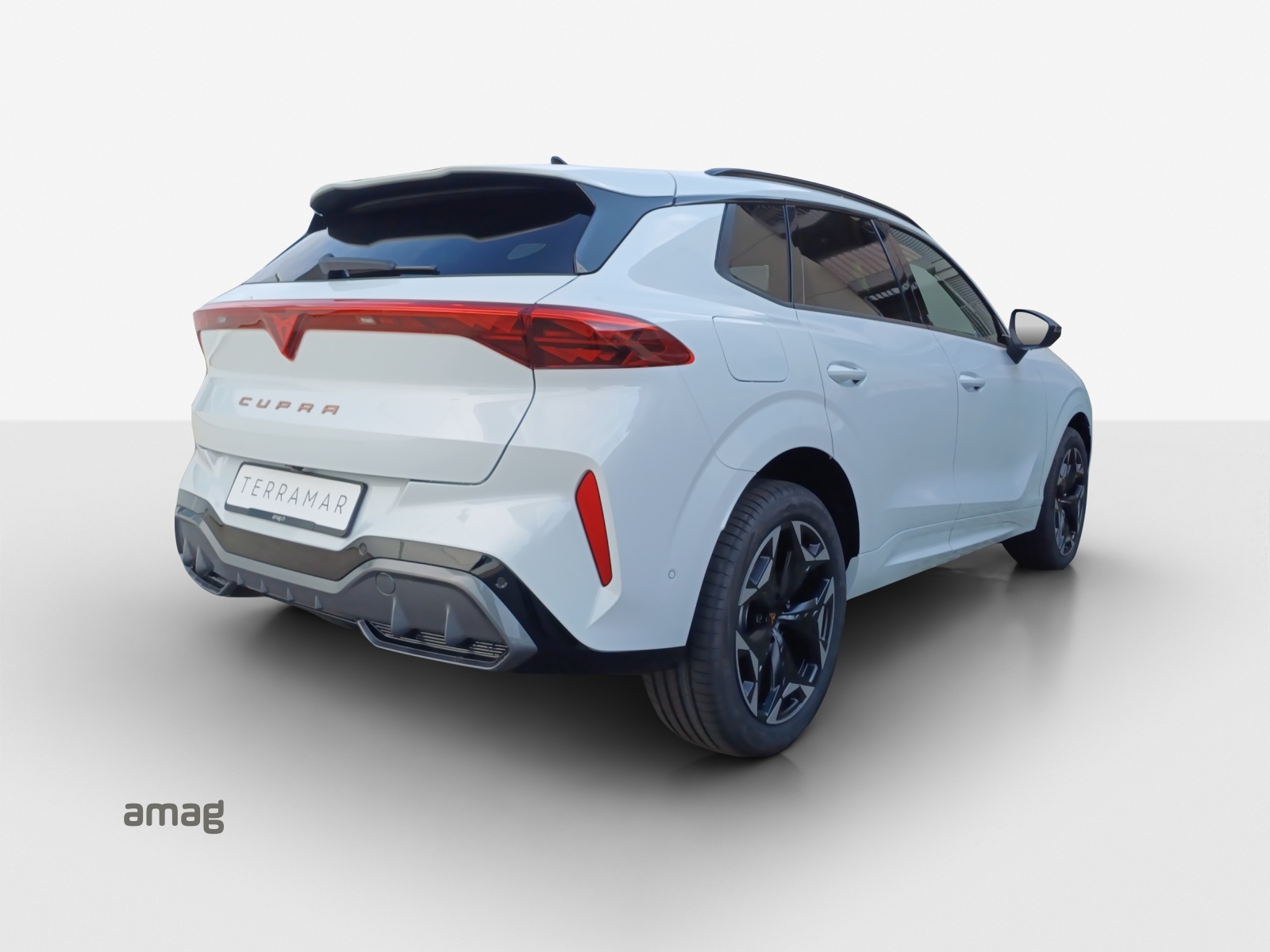 CUPRA Terramar 2.0 TSI DSG 4Drive Business Edition-image-4