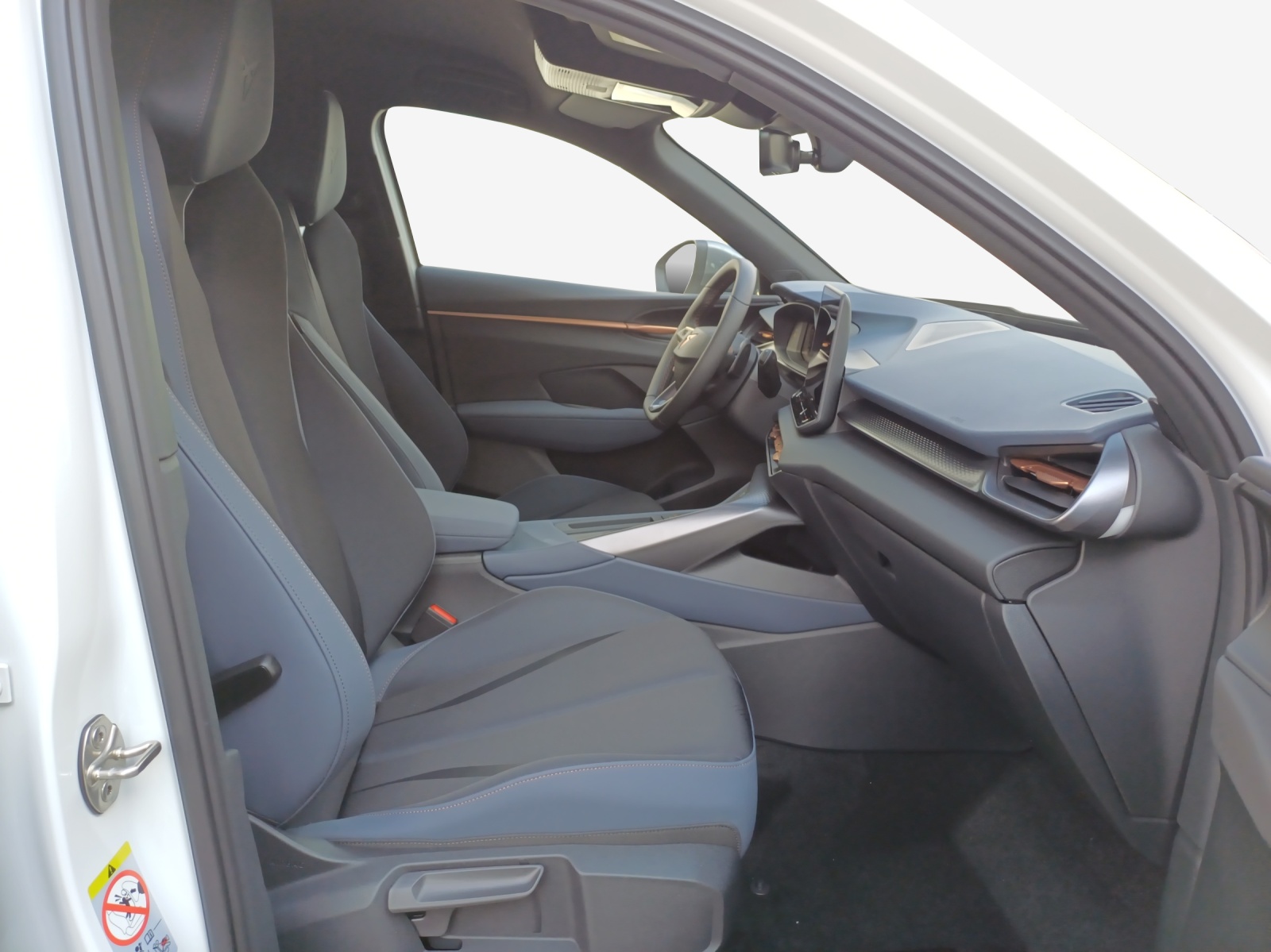CUPRA Terramar 2.0 TSI DSG 4Drive Business Edition-image-15