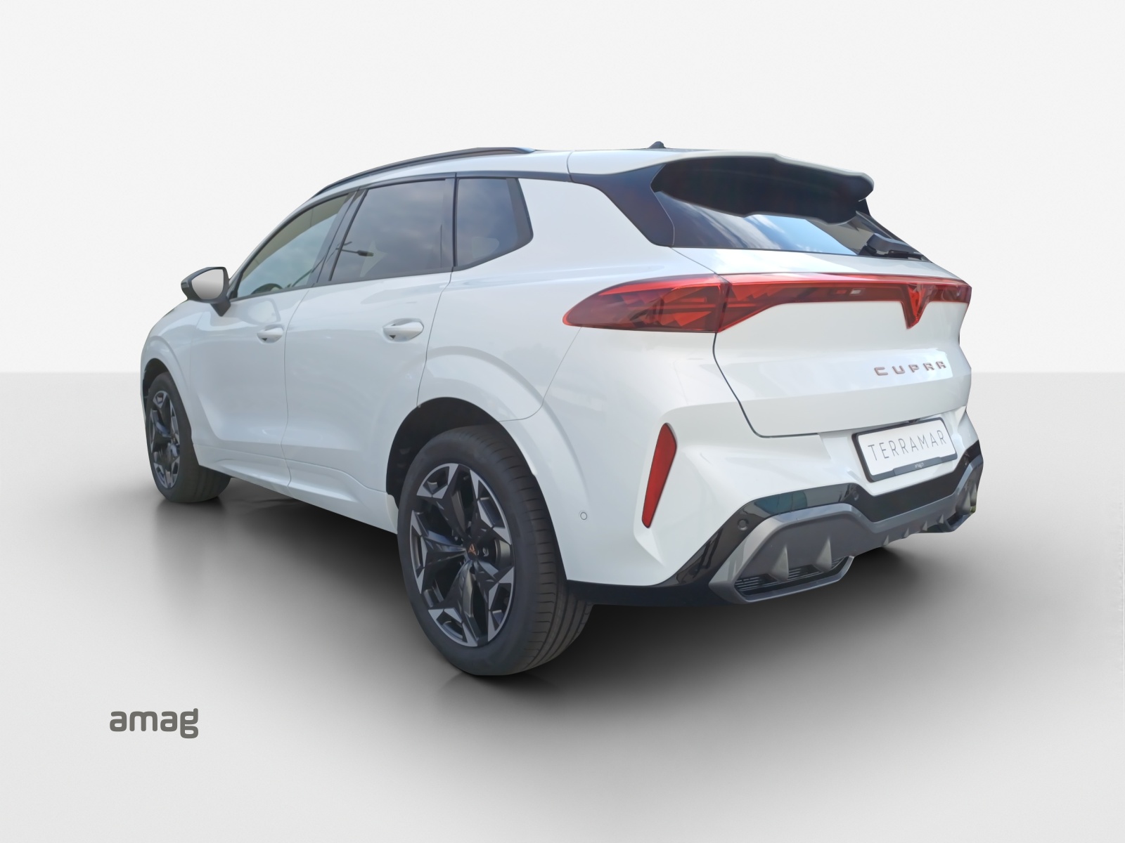 CUPRA Terramar 2.0 TSI DSG 4Drive Business Edition-image-2