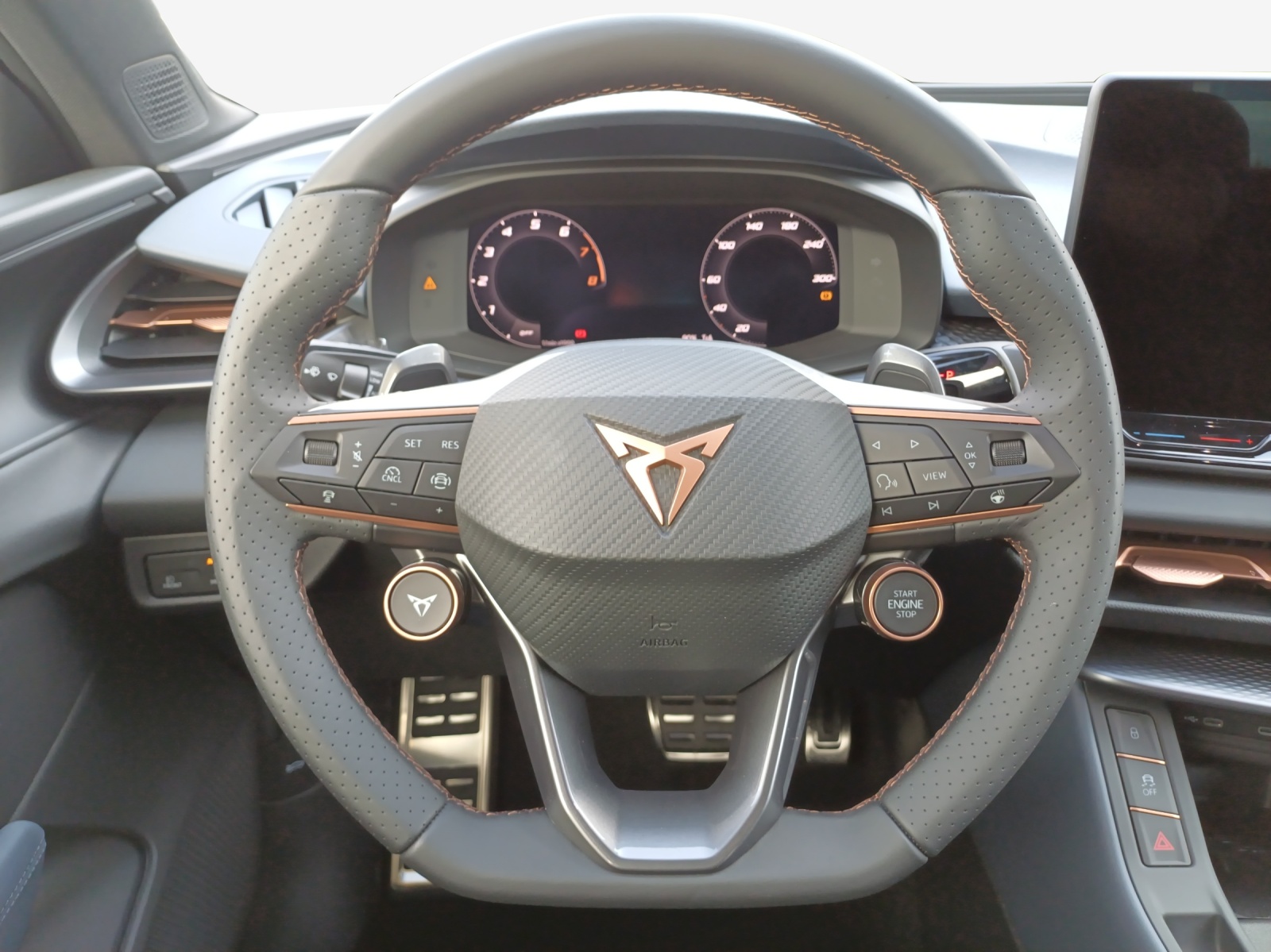 CUPRA Terramar 2.0 TSI DSG 4Drive Business Edition-image-9