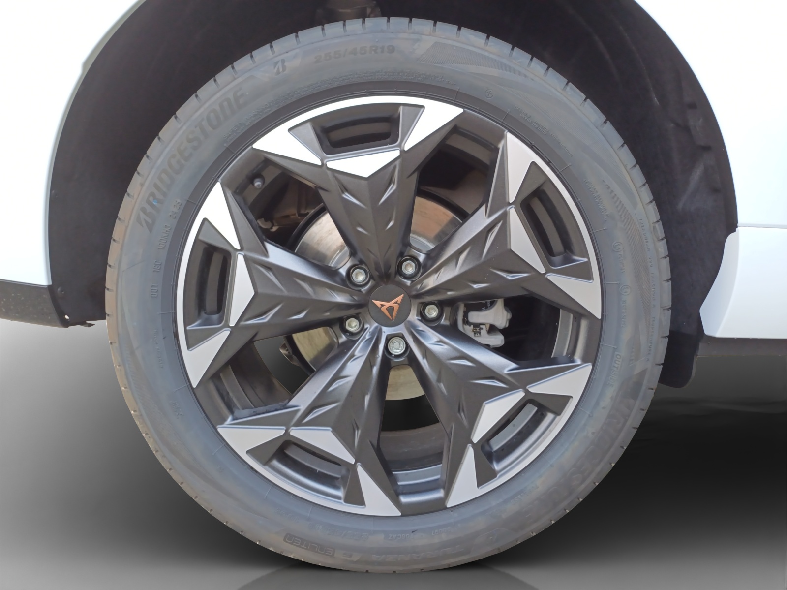 CUPRA Terramar 2.0 TSI DSG 4Drive Business Edition-image-13
