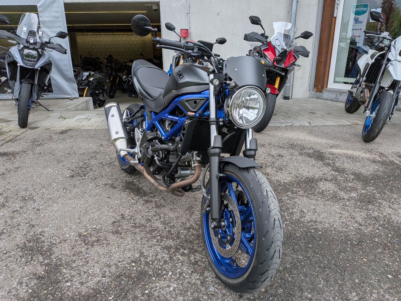 SUZUKI SV 650-image-1