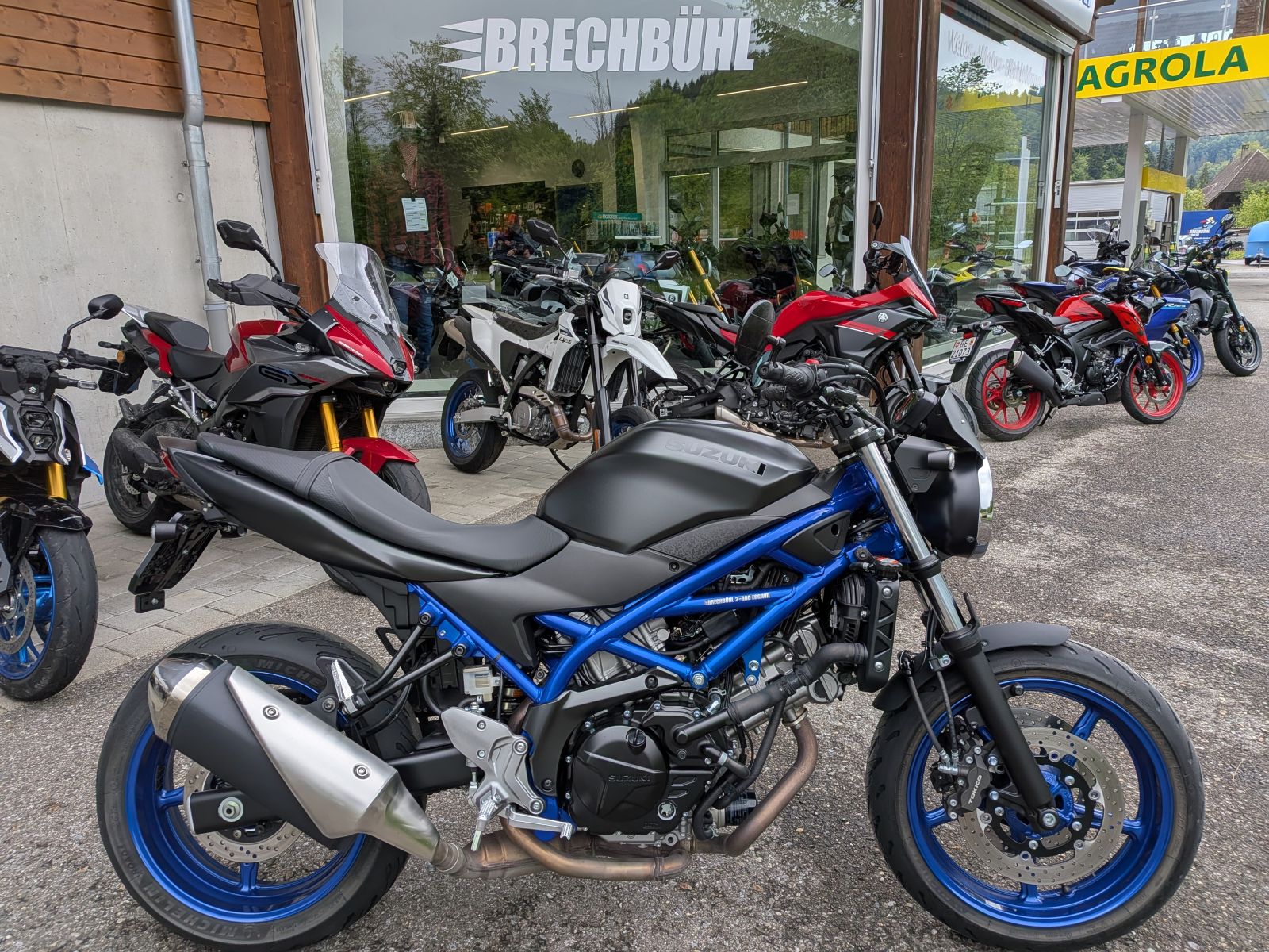 SUZUKI SV 650