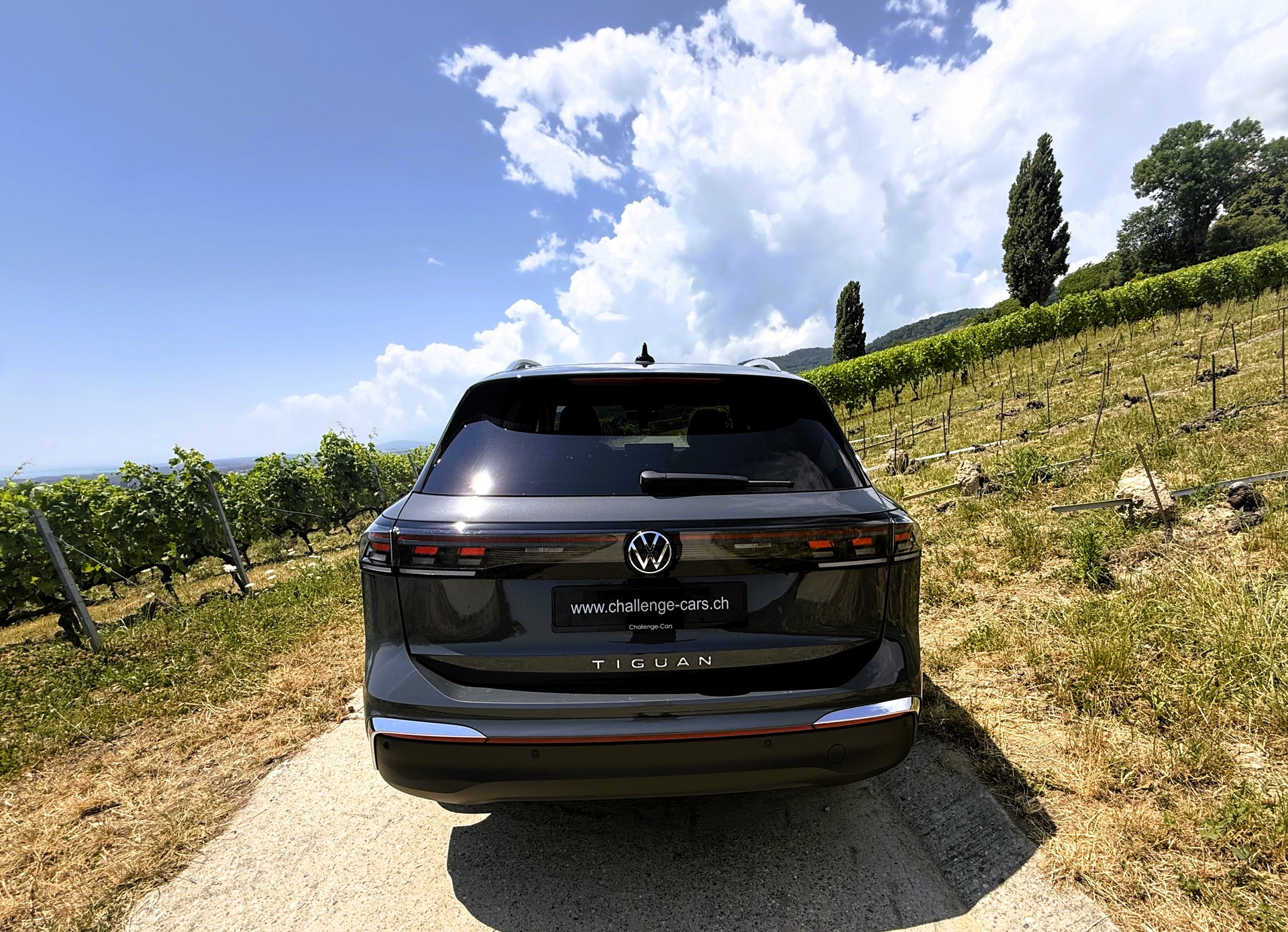 VW Tiguan 2.0 TDI SCR Elegance 4Motion DSG-image-3
